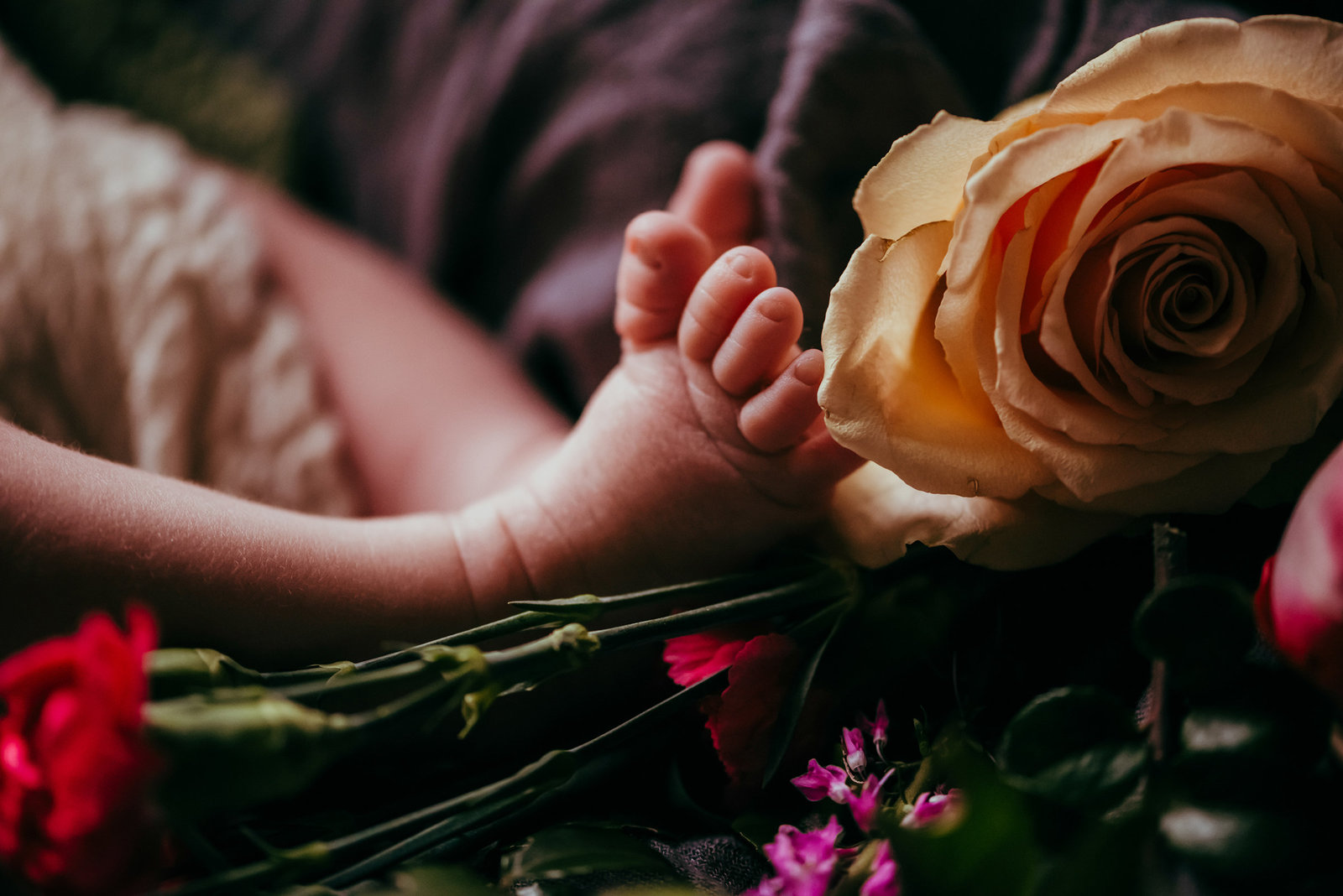 rootedandwildphotography_bremerton_newborn_foot_and_flowers