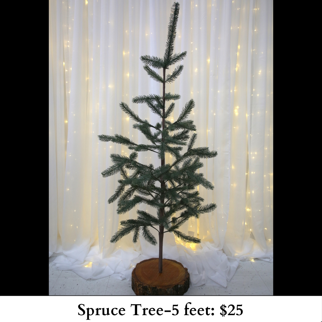Spruce Tree-5 feet-553