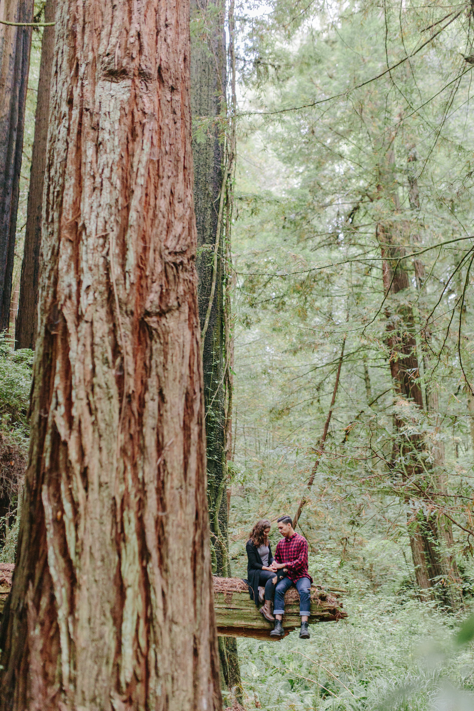 Redwood National Park Avenue of the Giants Engagement Session -7709