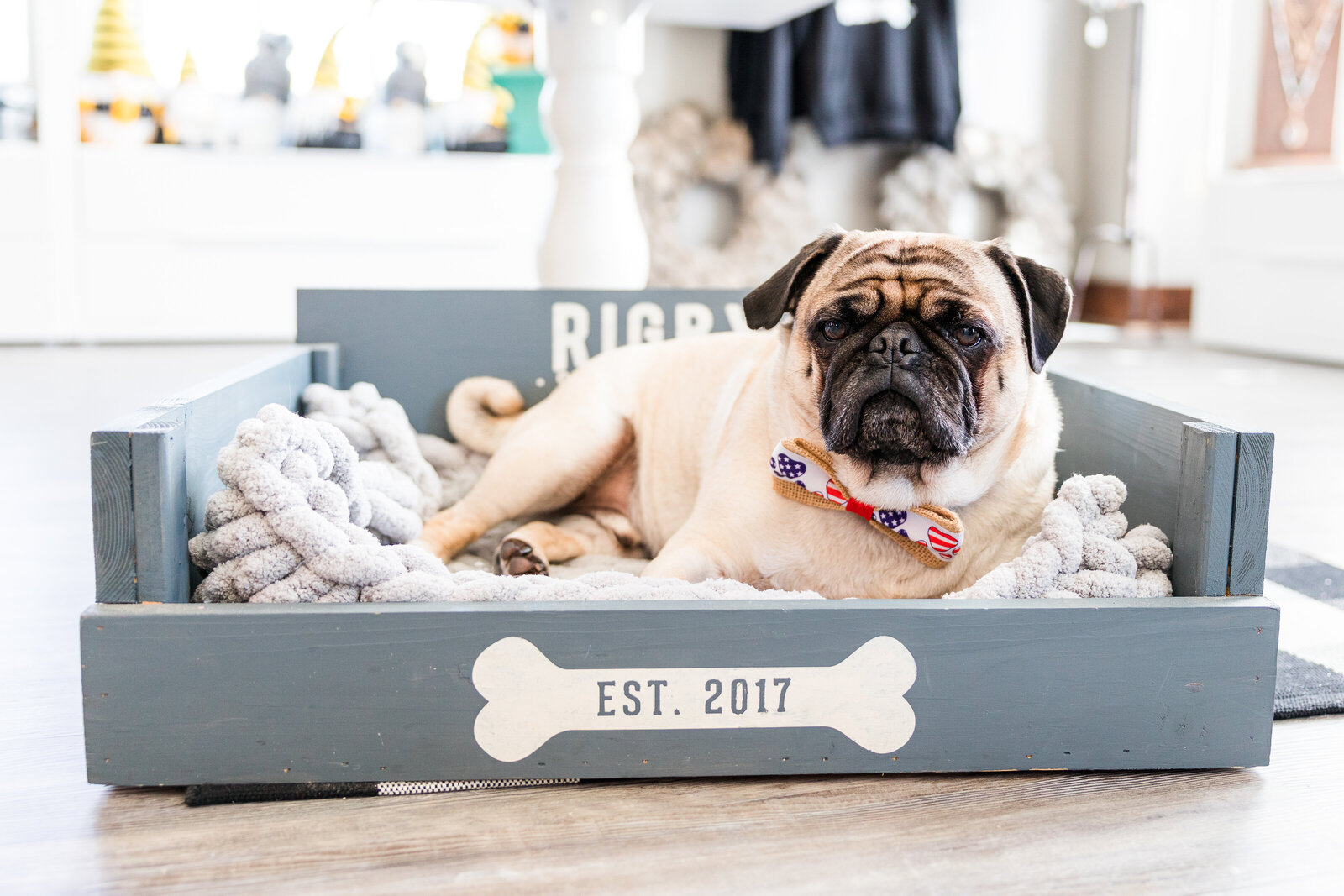 Product Photography Grey Wooden Dog Crate made at AR Workshop