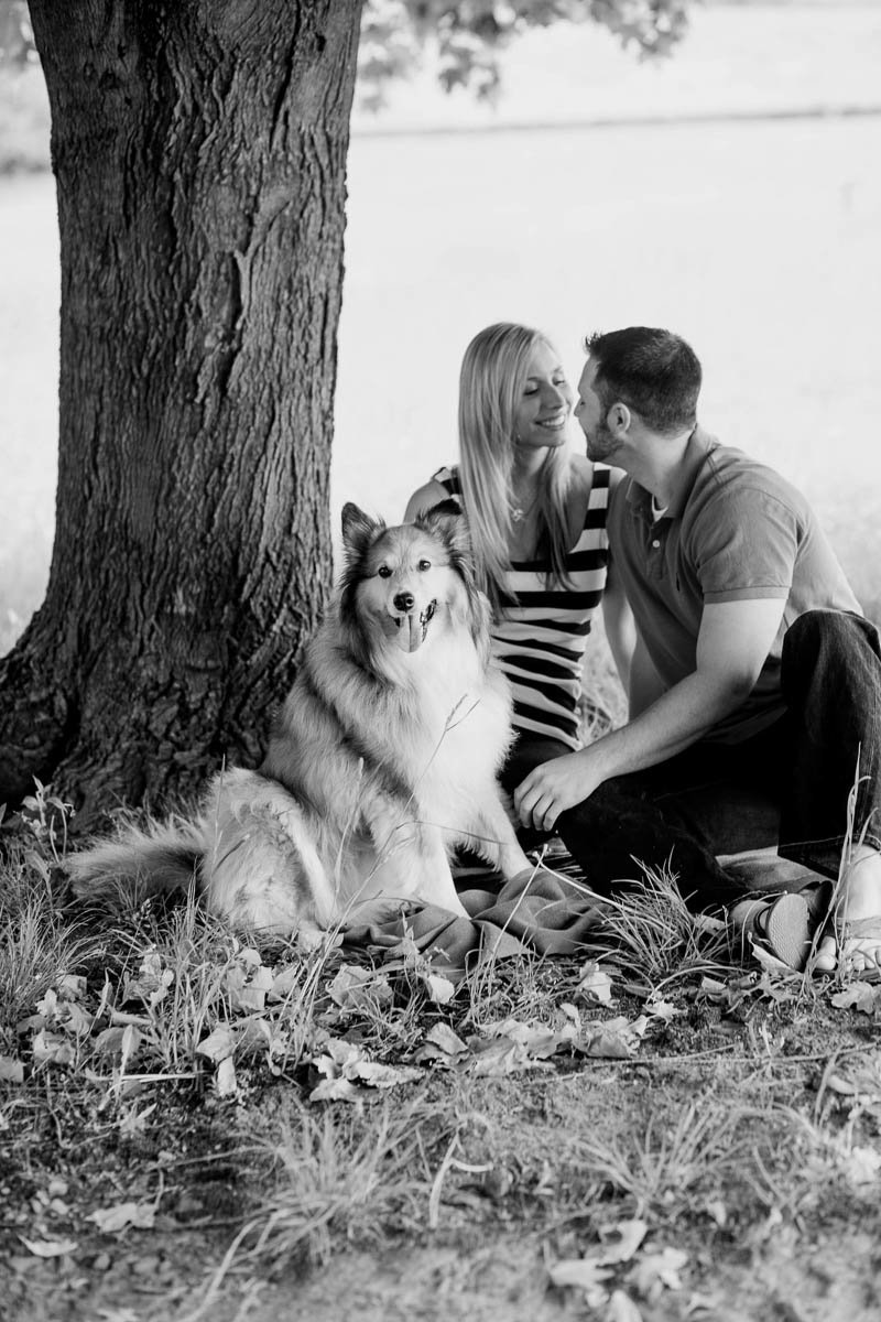 Engaged Couple with Shetland Sheepdog, Brandywine Creek State Park, Delaware