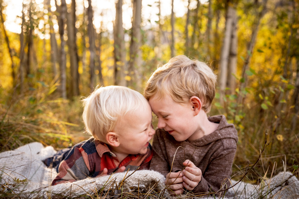 Two boys in plaid rub foreheads in a grove of aspen trees