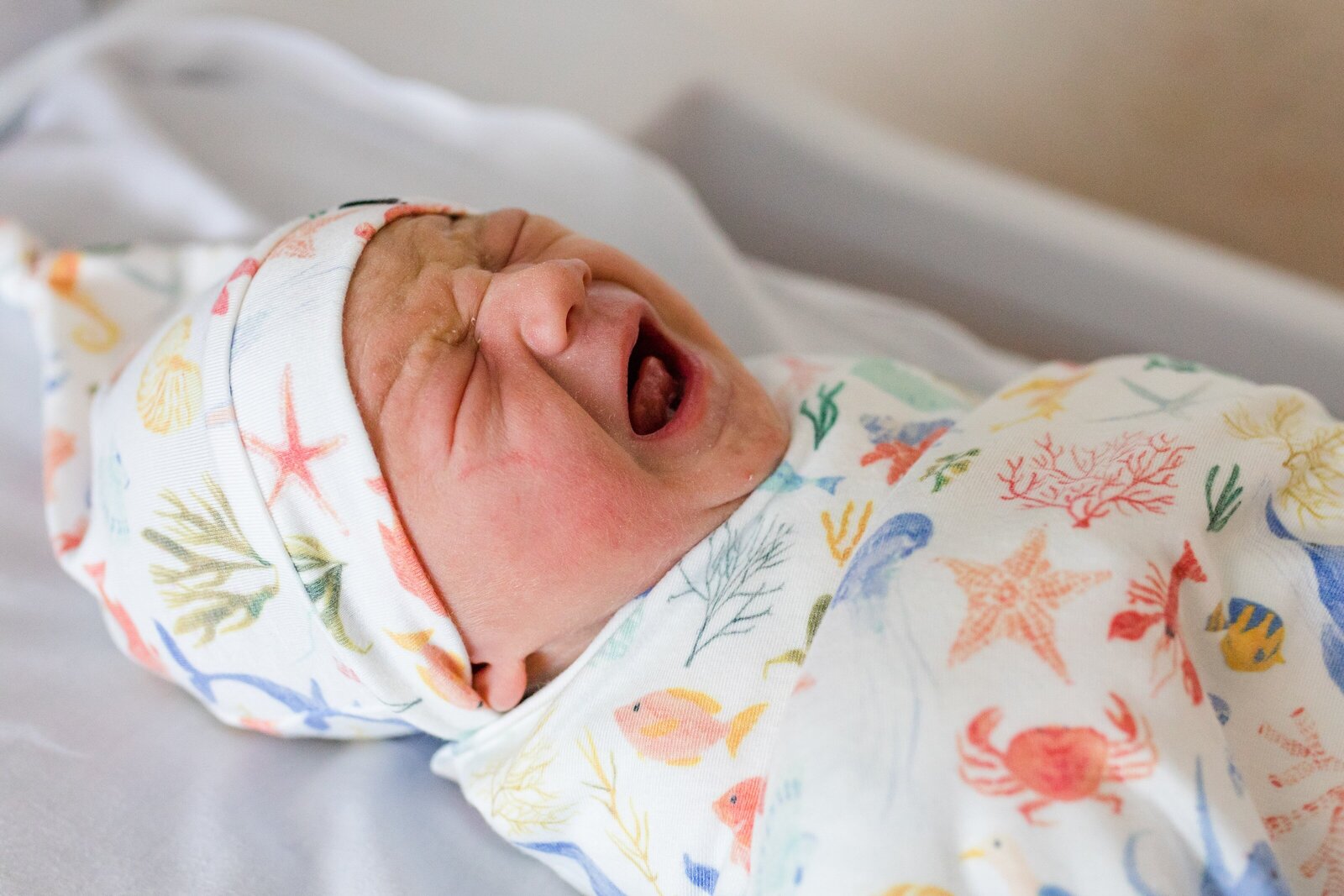 Fresh 48 newborn session in hospital