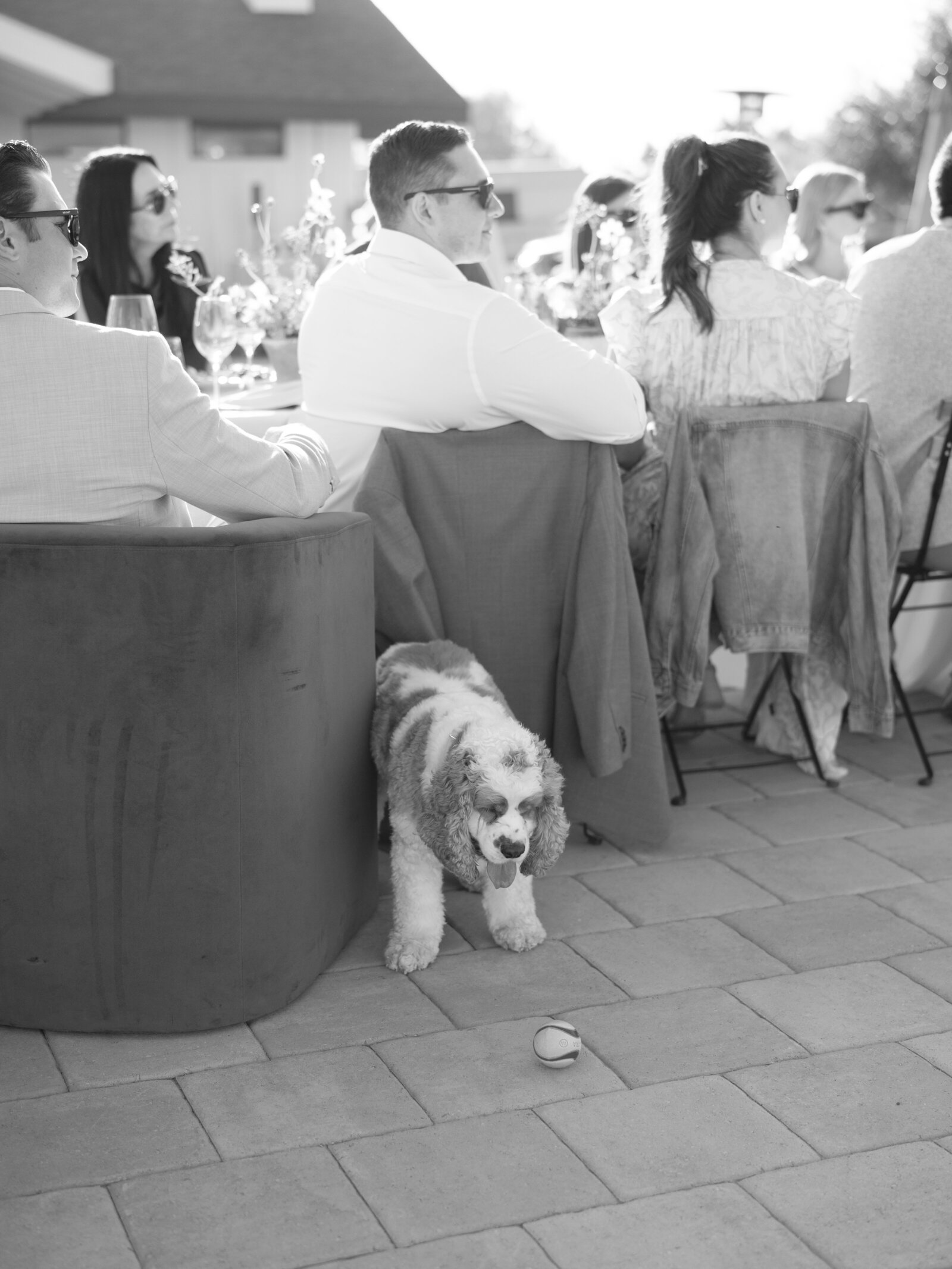 untitled-02560