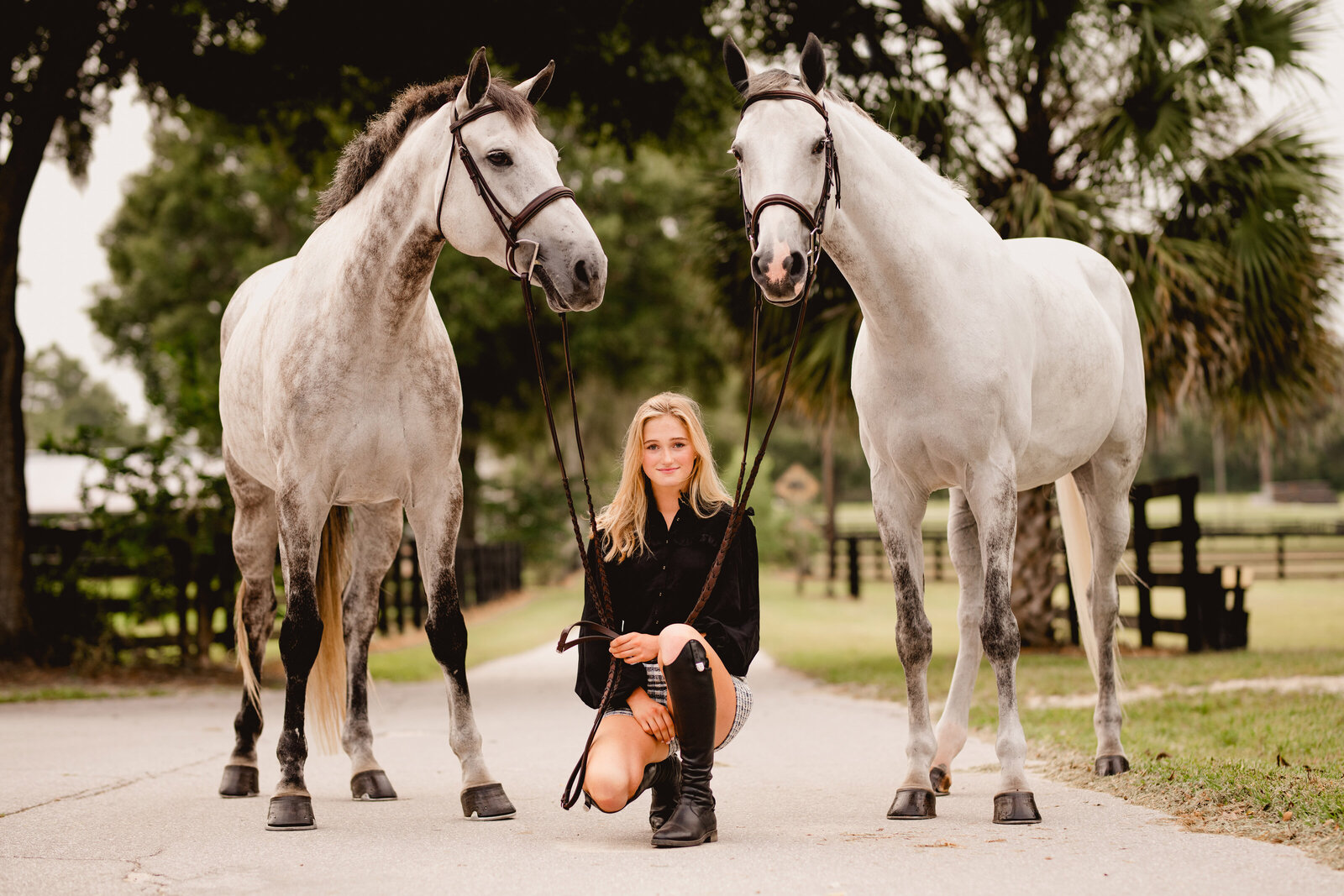 Girl with two grey hunter/jumper mares in Ocala, Fl. Ocala horse photographer.