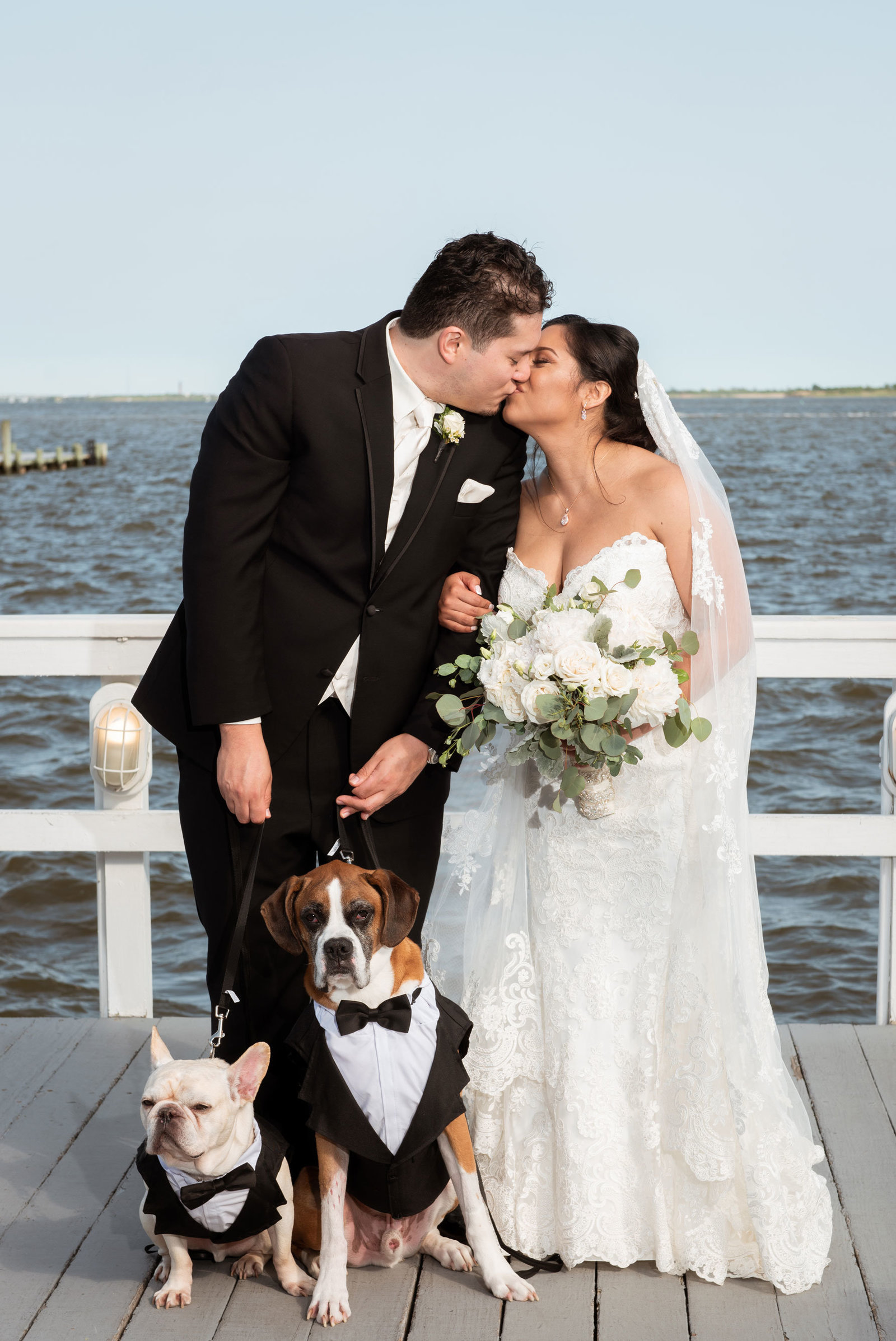 Bride and groom kissing with dogs on dock at Chateau La Mer