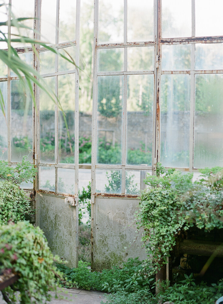 old glasshouse with greenery spilling from buckets