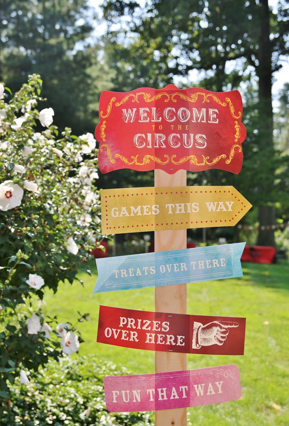 ct_party_planner_circus_birthday_0015