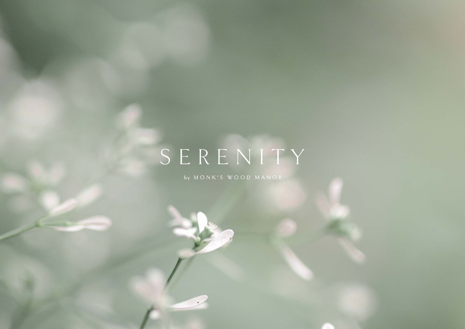 Serenity - Branding_Page_07