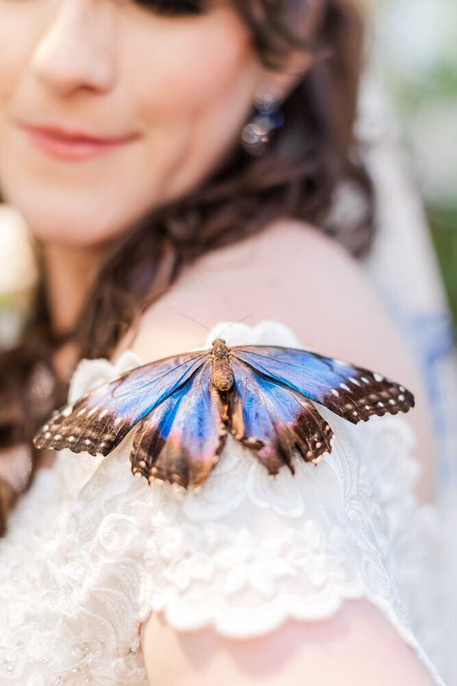 butterfly-themed-Tucson-Botanical-Gardens-wedding-Christy-Hunter-Photography-wedding-photographer-in-Tucson-035