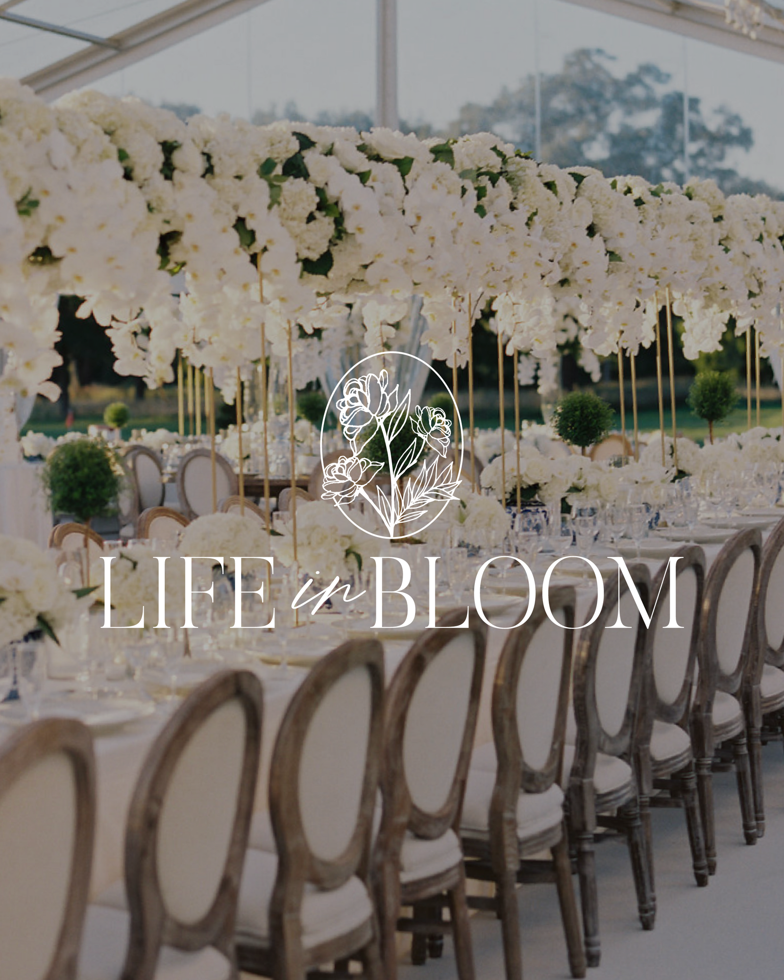 Life-in-bloom-Launch-Graphics-68