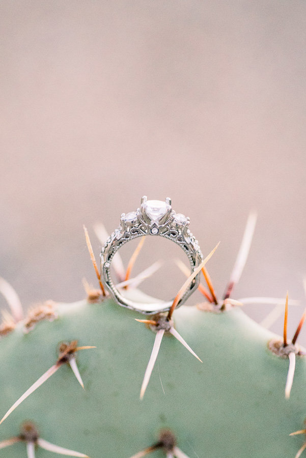 Engagement Ring on a Cactus Photo | Tucson Wedding Photographer | West End Photography