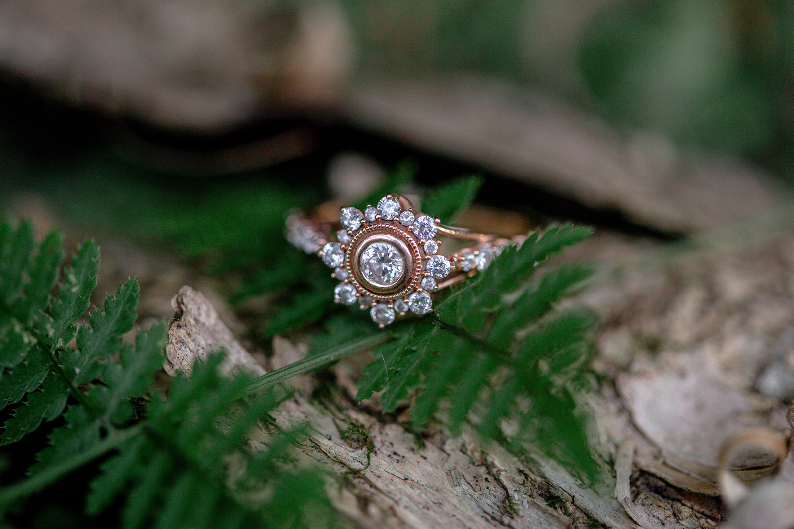 unique_rose_gold_engagement_ring_sits_on_ferns_and_bark