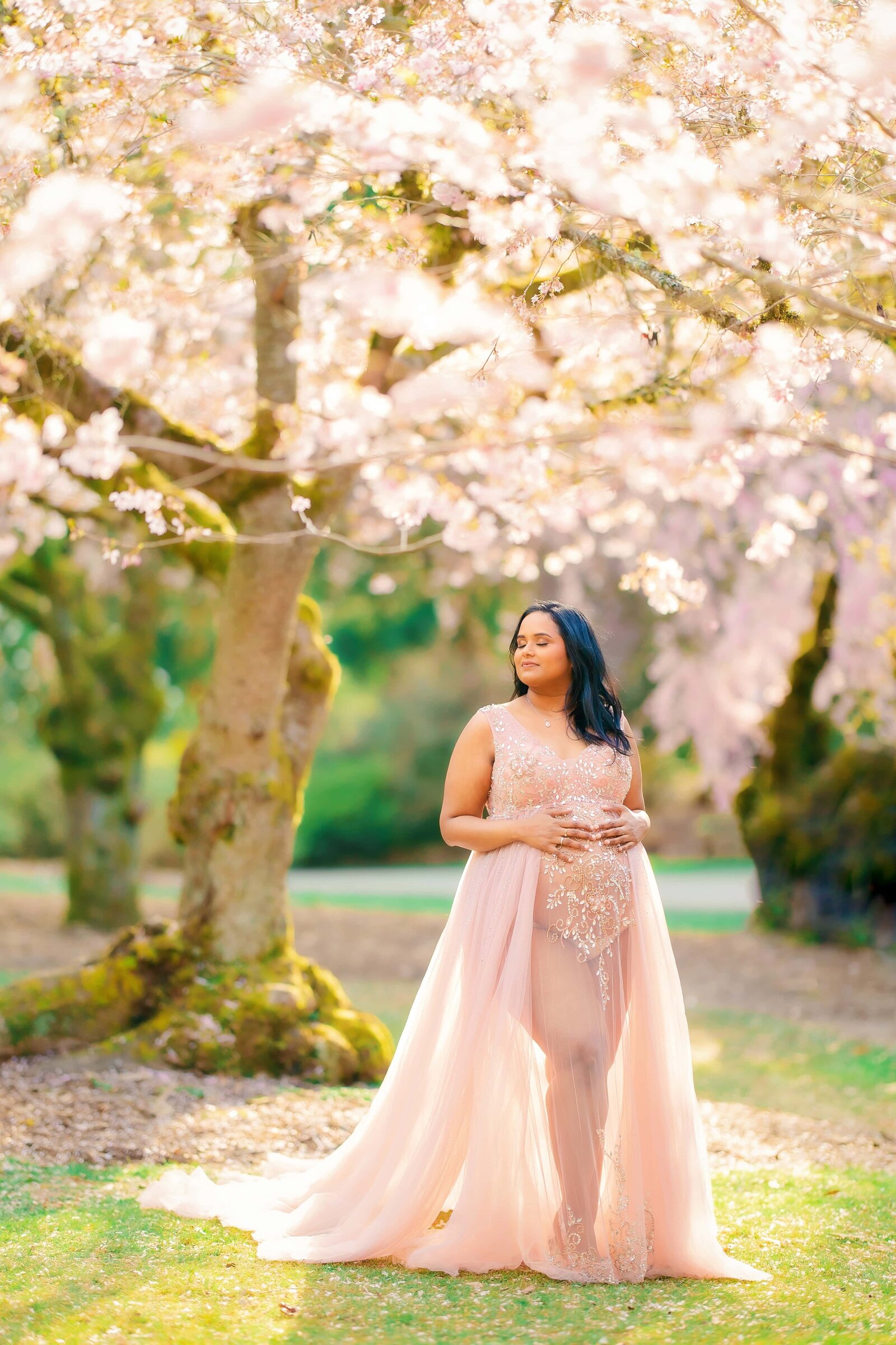 Cherry Blossom Pregnancy Seattle Tacoma