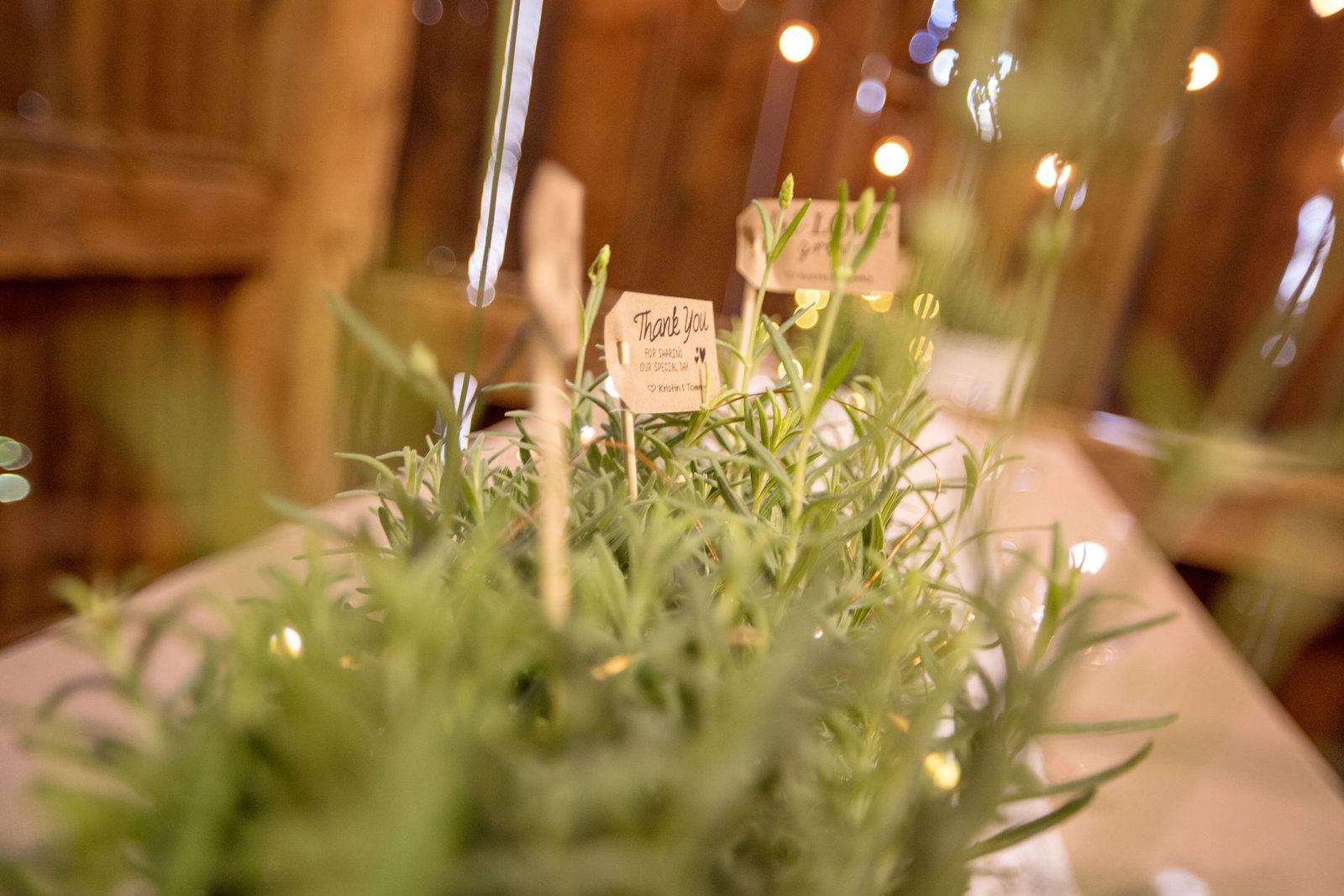 greenery centerpieces at George Weir Barn