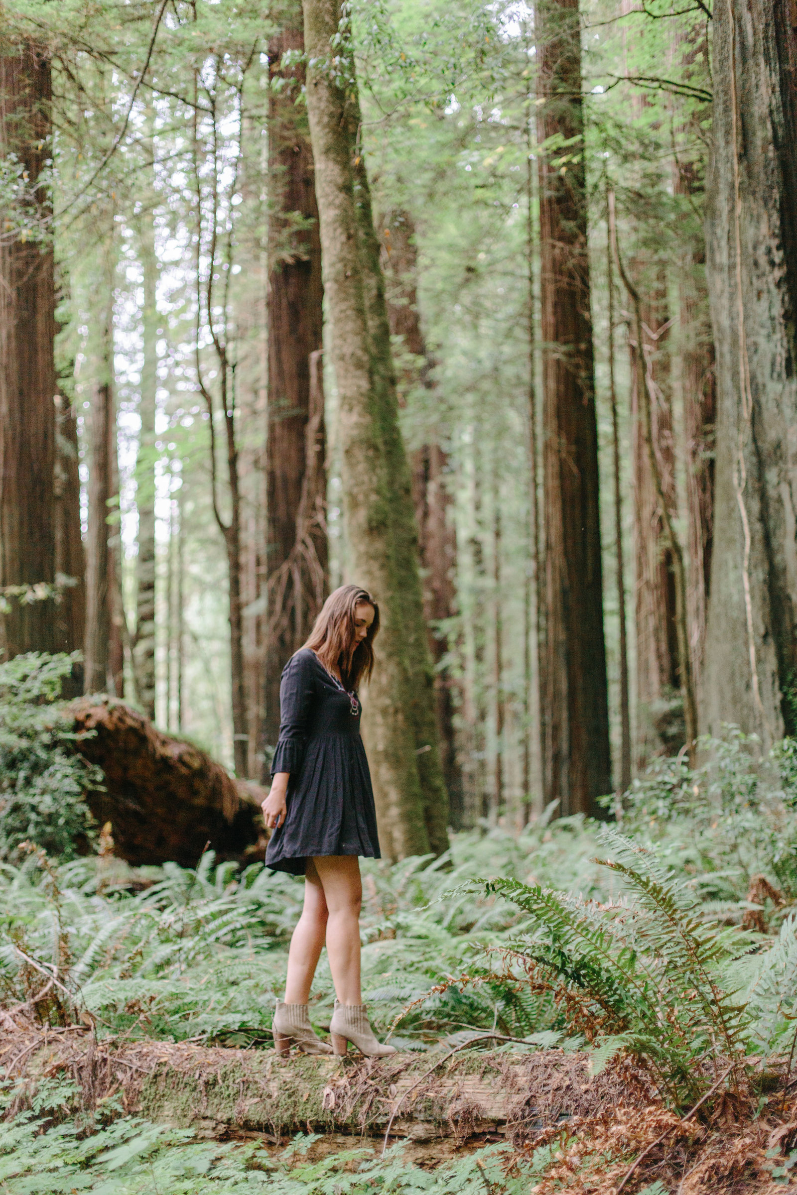 Redwood National Park Avenue of the Giants Engagement Session -7403