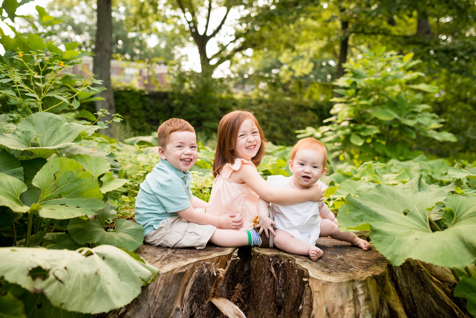 Boston-Family-Photographer-Arnold-Arboretum-JP-Session-1