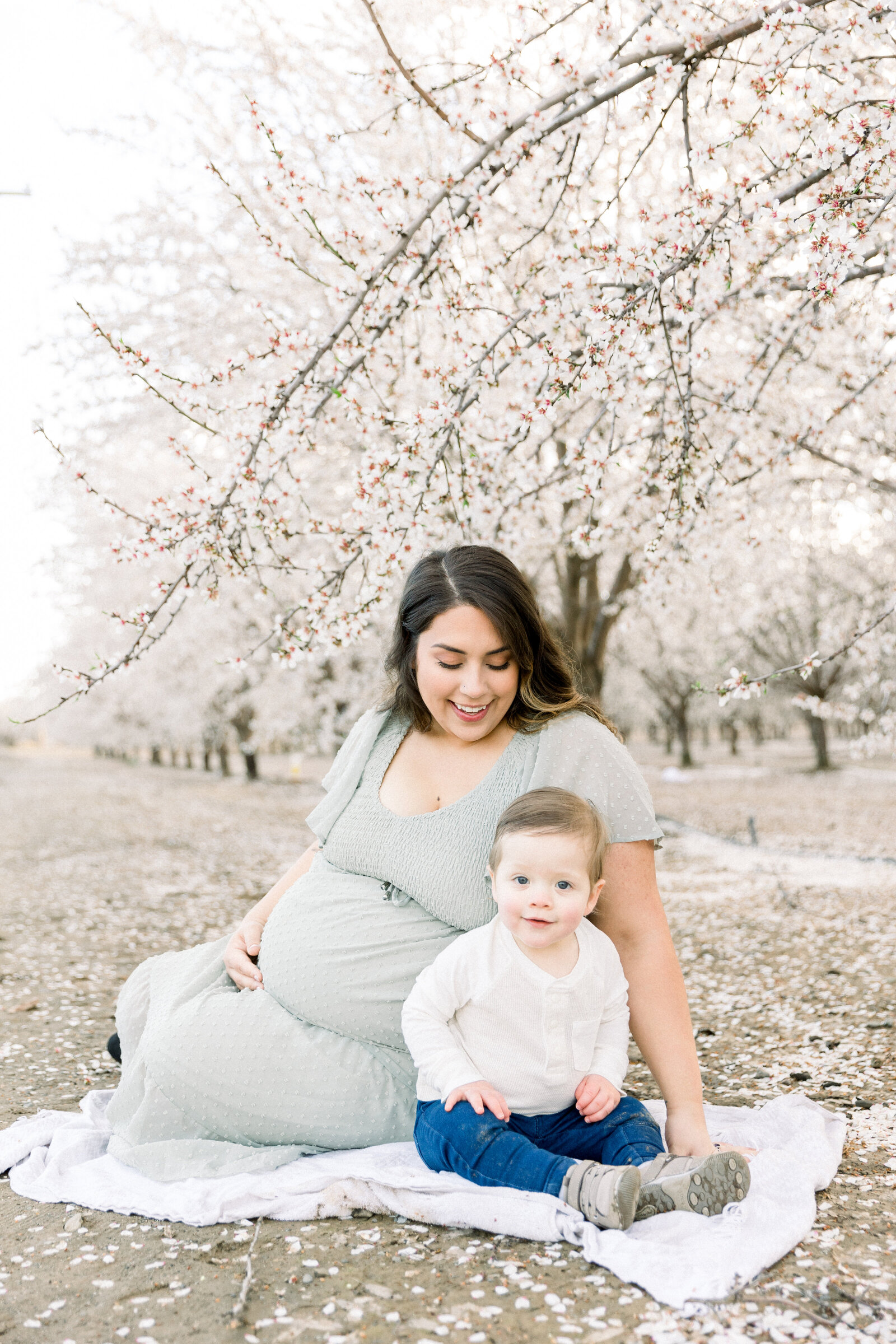 Image of expecting mother looking down at her young son sitting in almond orchard taken by Sacramento Newborn Photographer Kelsey Krall