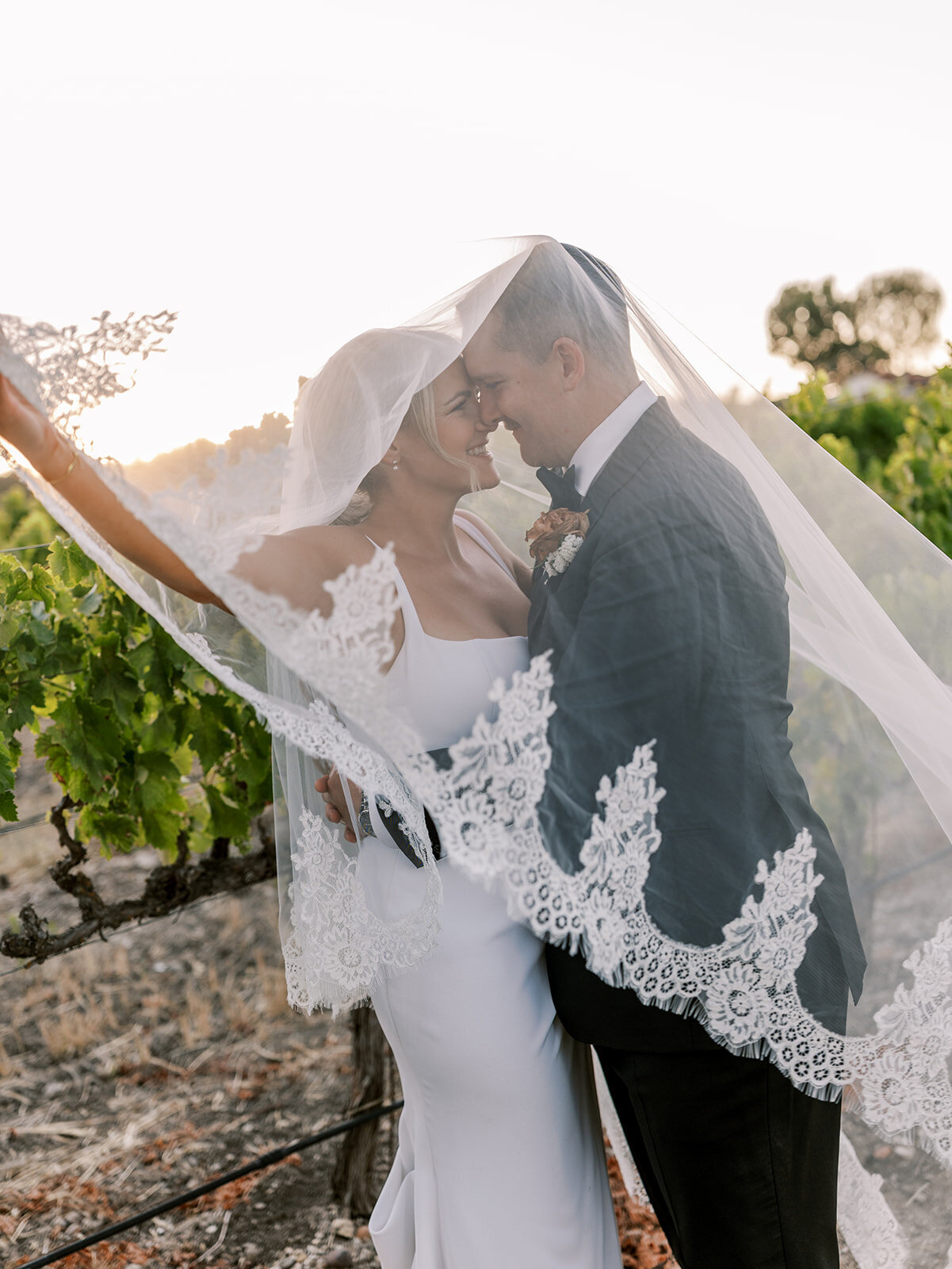terra-mia-wedding-photos-560 terra-mia-wedding-photos-560