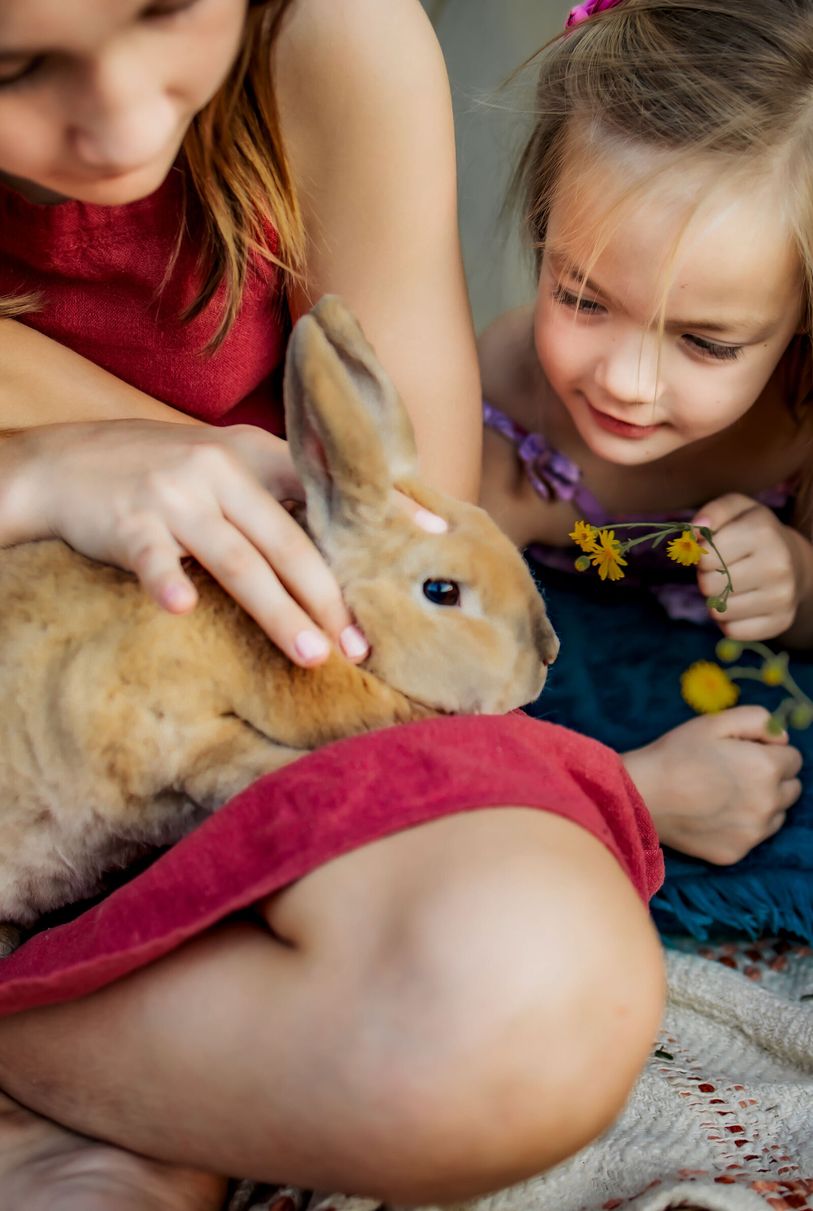 five year old plays with a live bunny outside