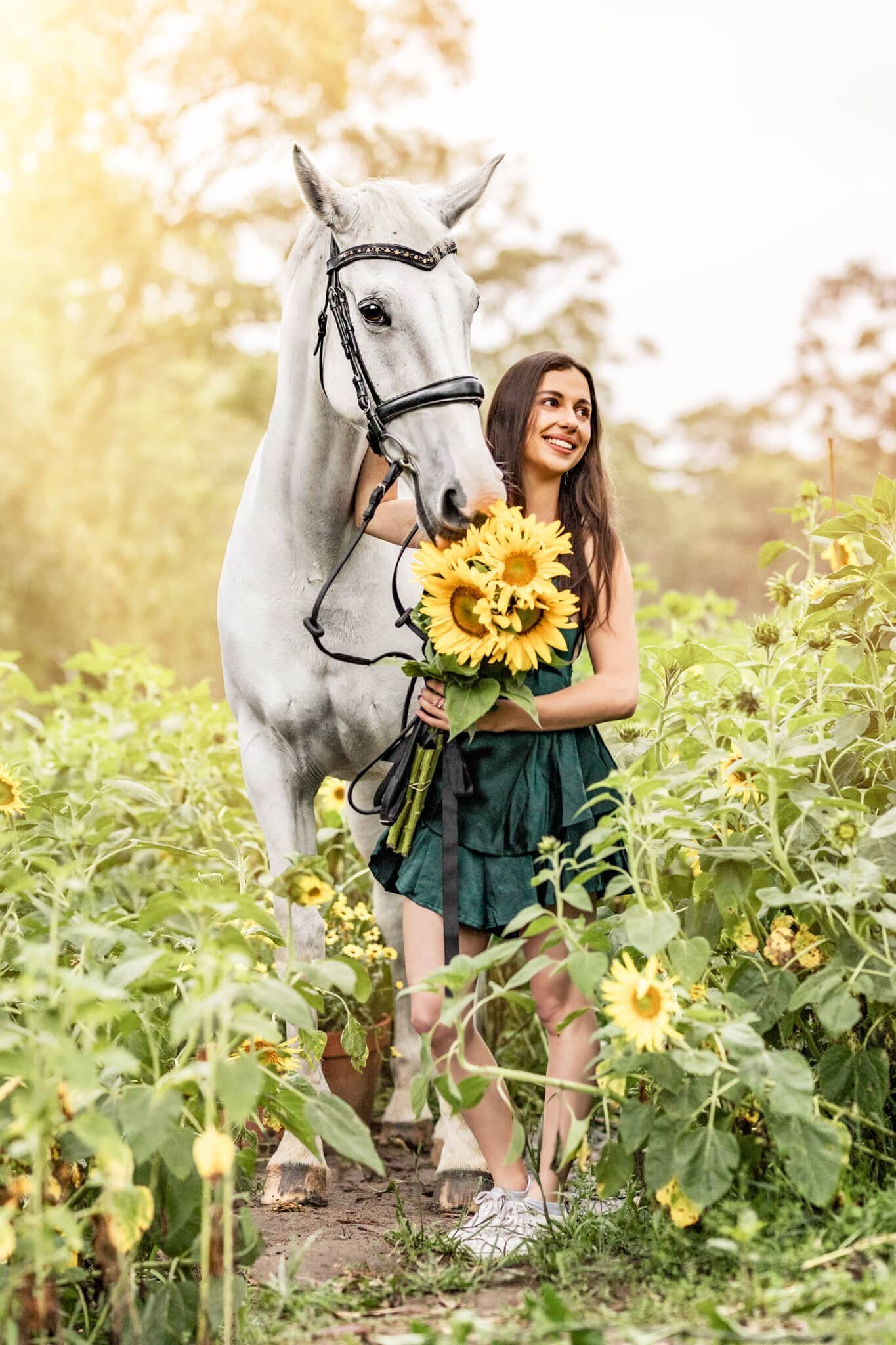 (37) Hawkesbury Sunflower Horse and owner portraits