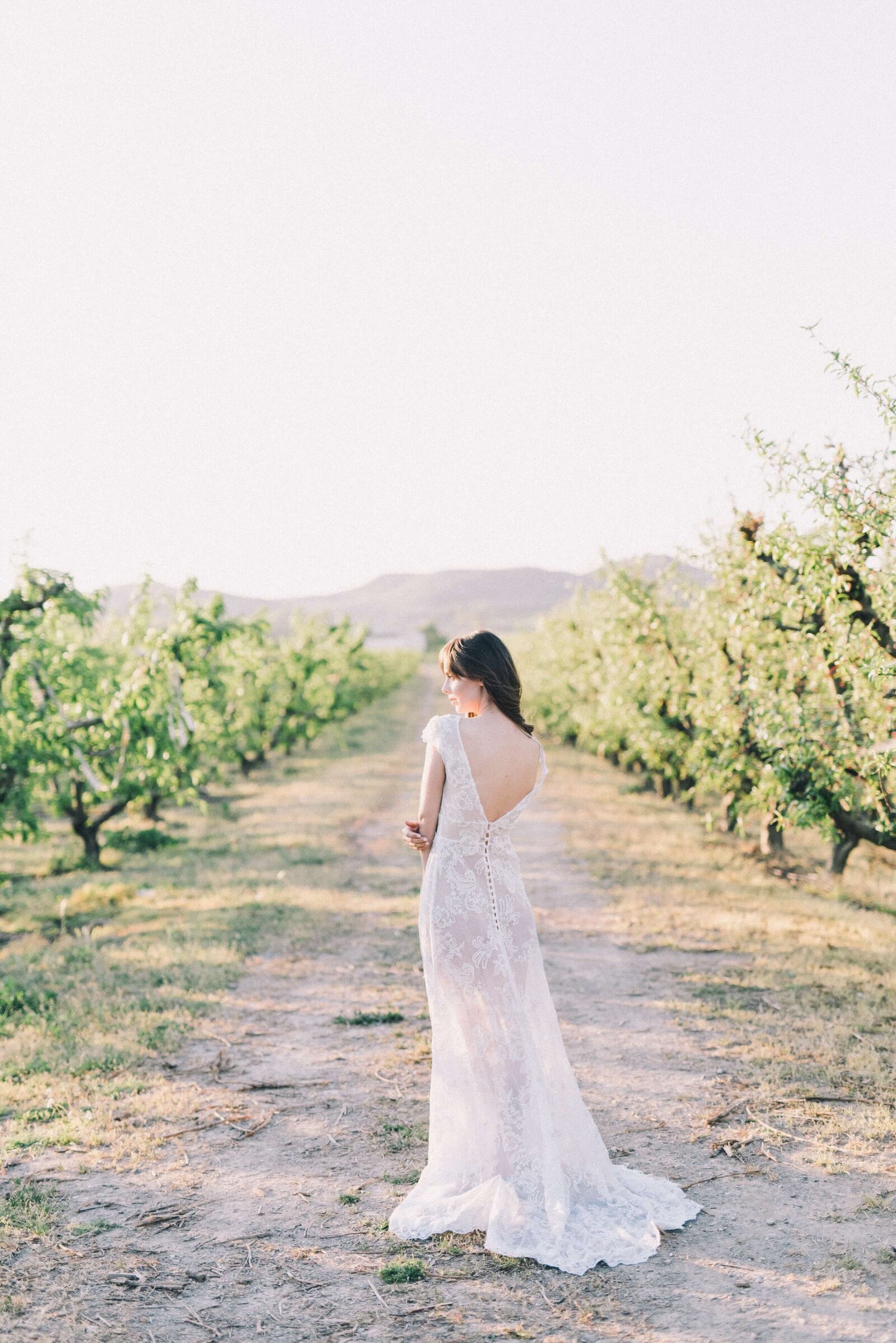 Wedding-dress-bridal-gown-store-website-template-Showit-pexels-leeloo-thefirst-4621952
