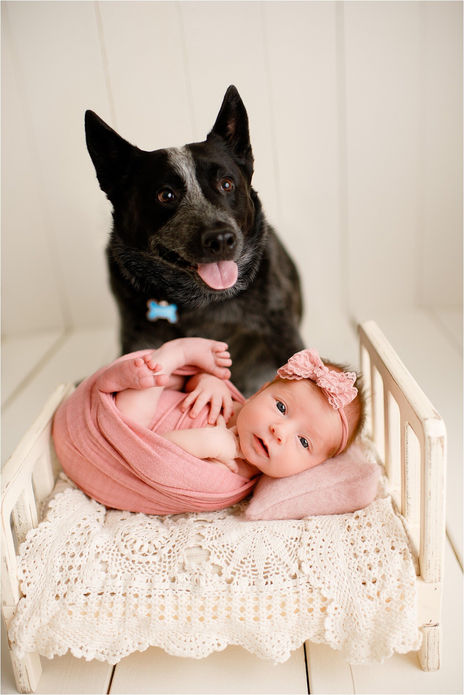 newborn with pet dog