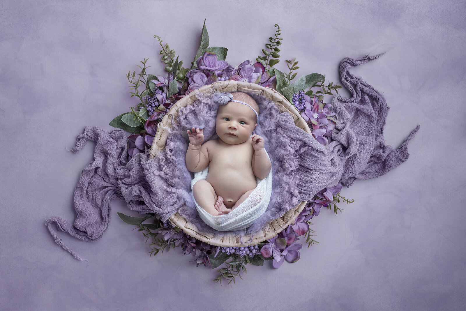 Newborn girl in purple bowl