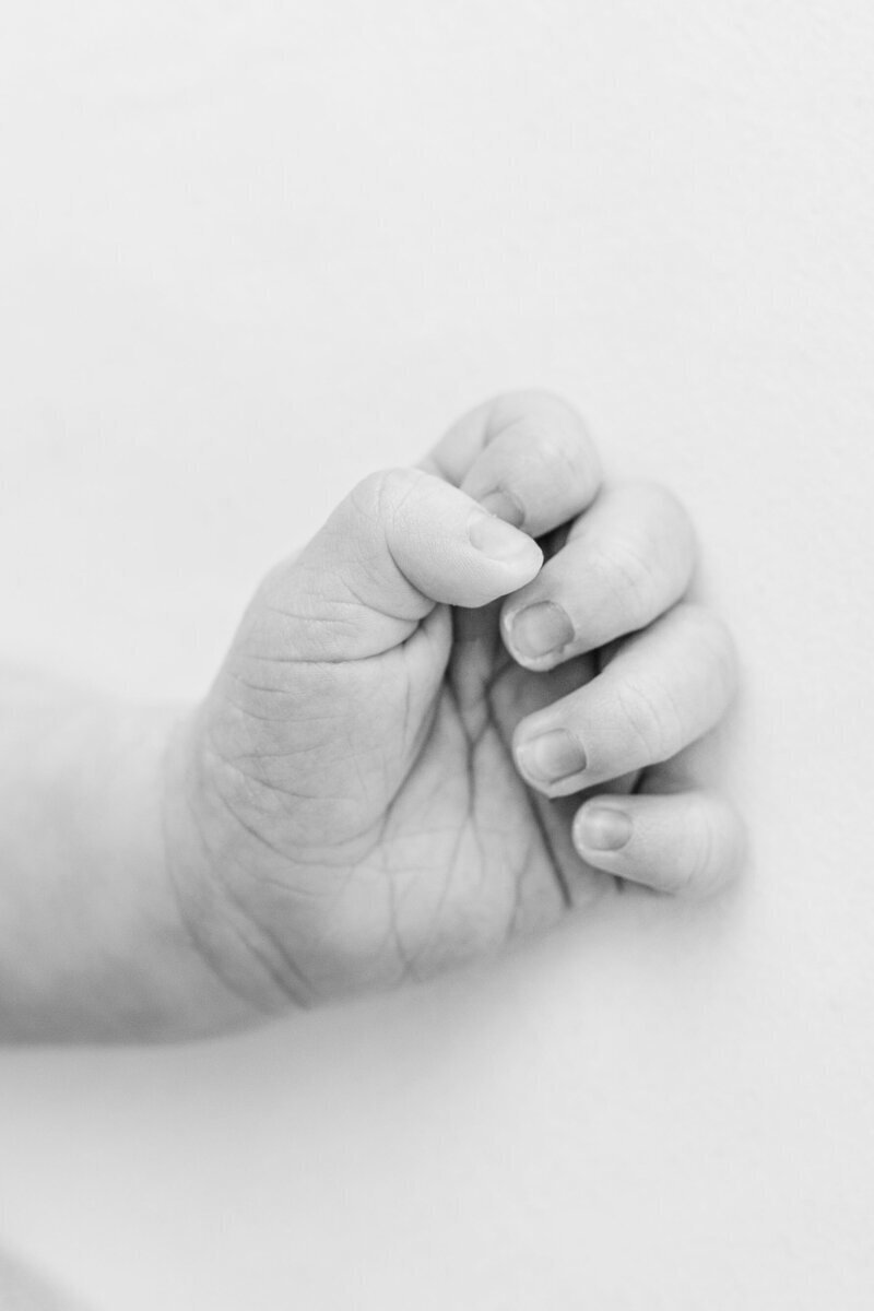 newborn photography nj of baby hand details