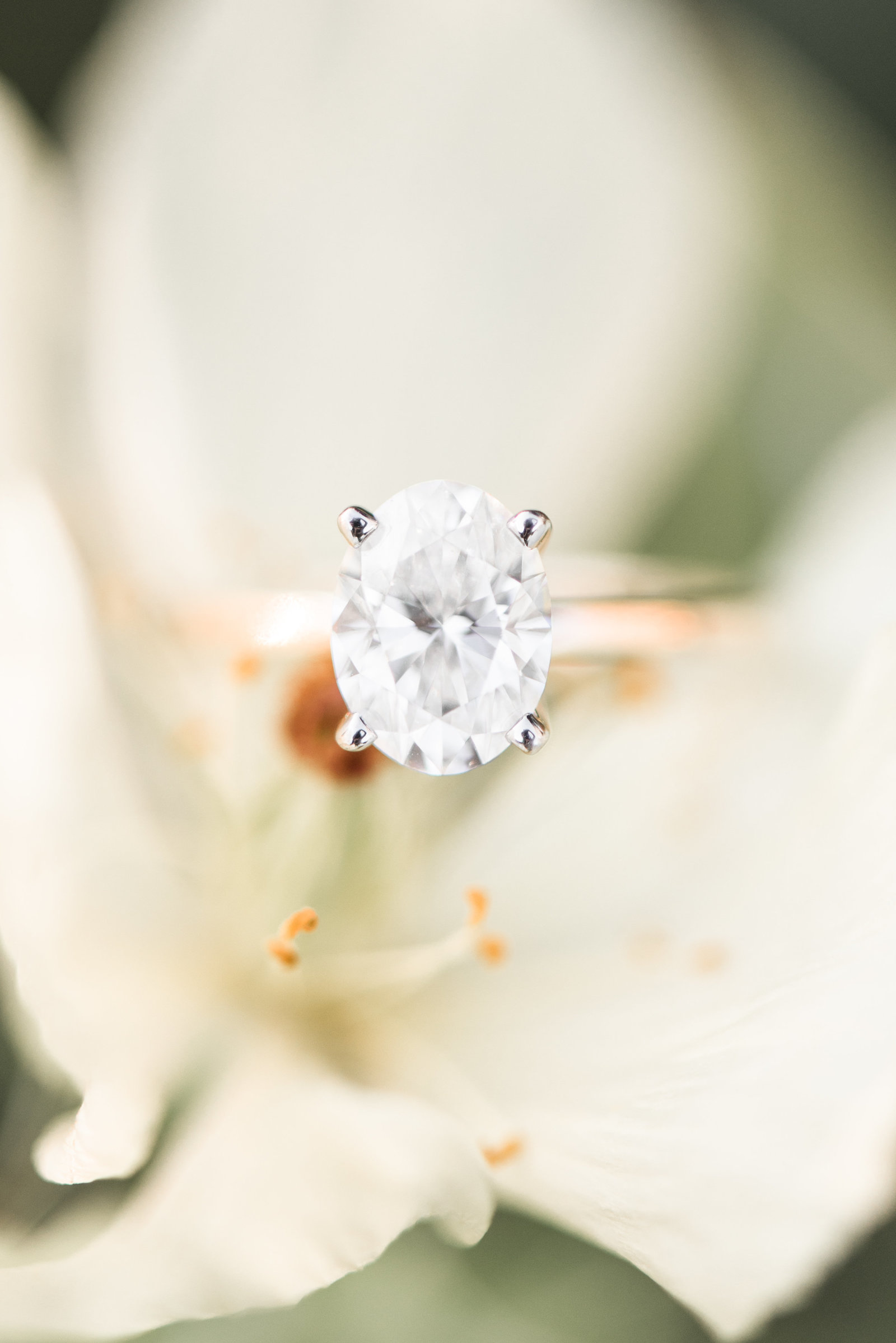 colonial-williamsburg-virginia-engagement-session-photo270