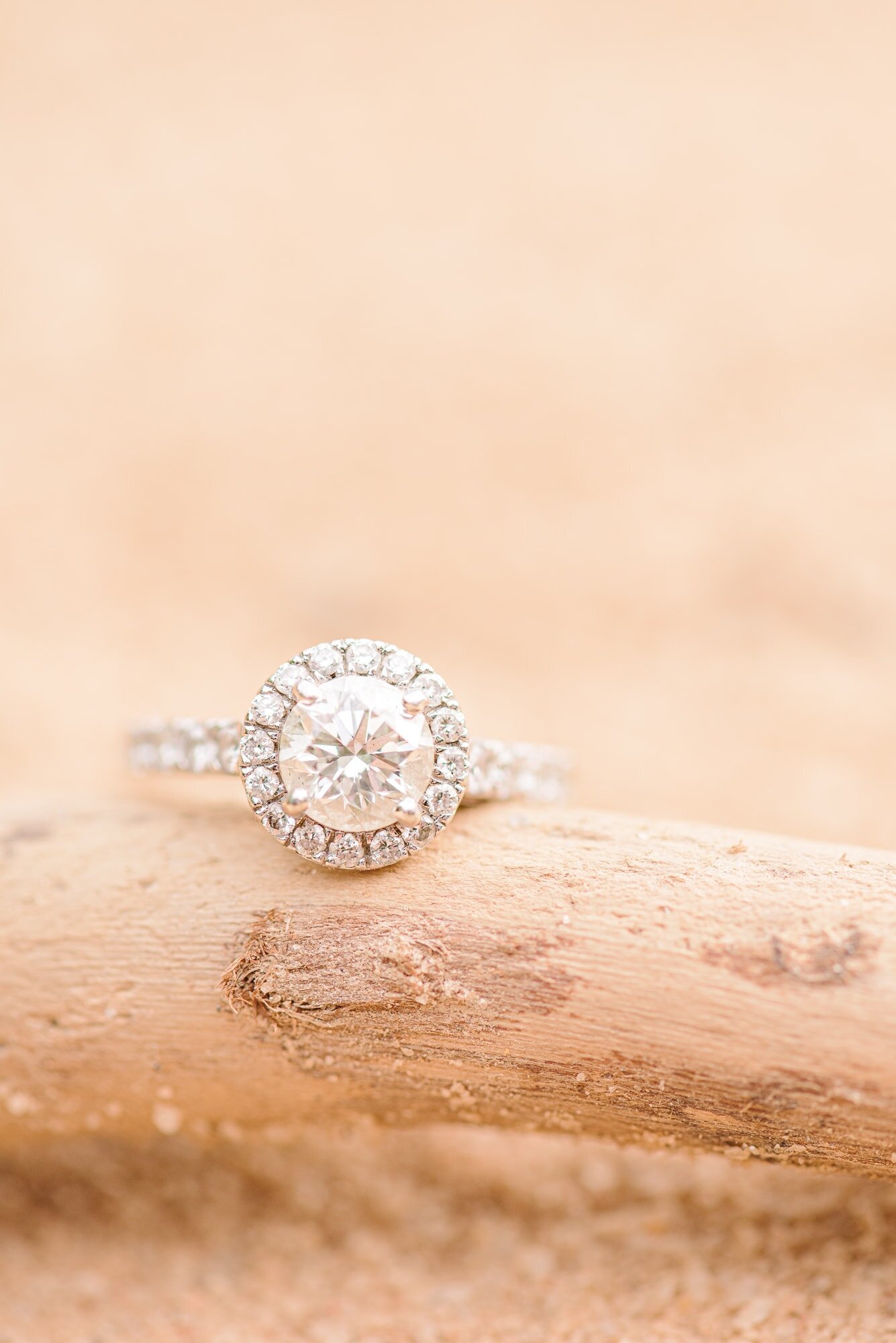 Jetton Park Engagement Photos-4