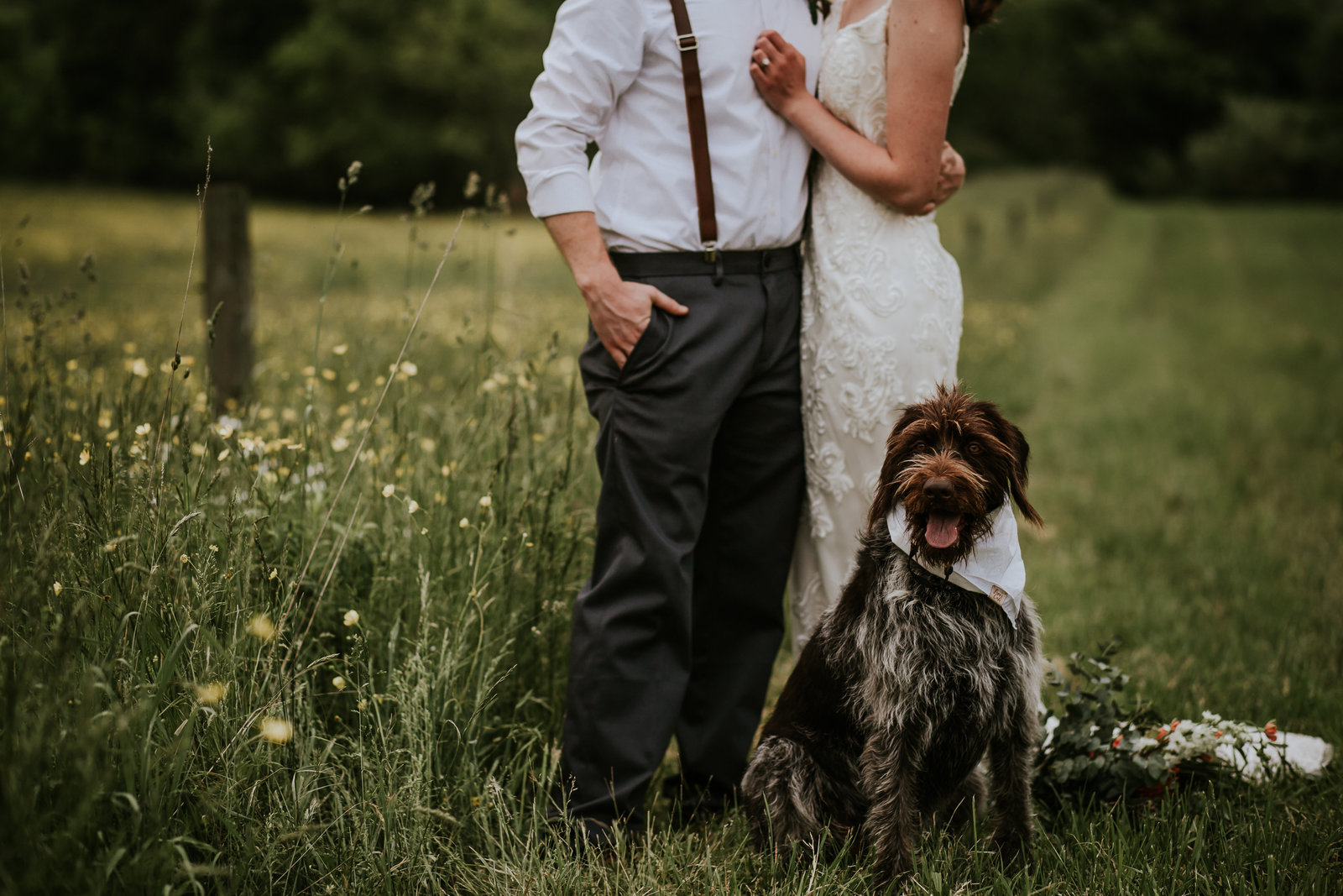 williamsport couple wedding  engagement session dog puppy