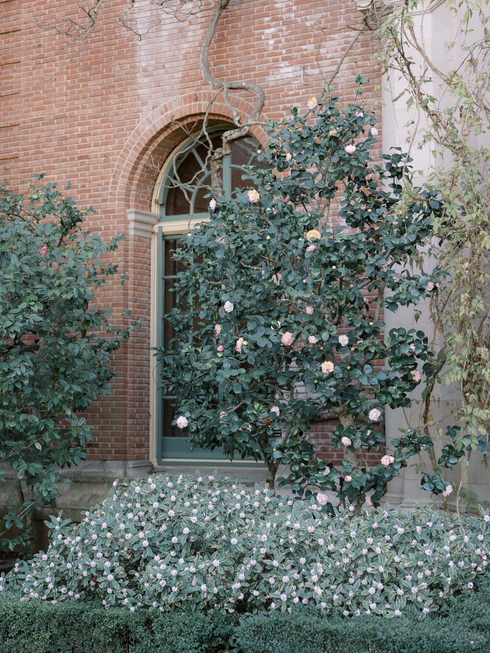 untitled-00004