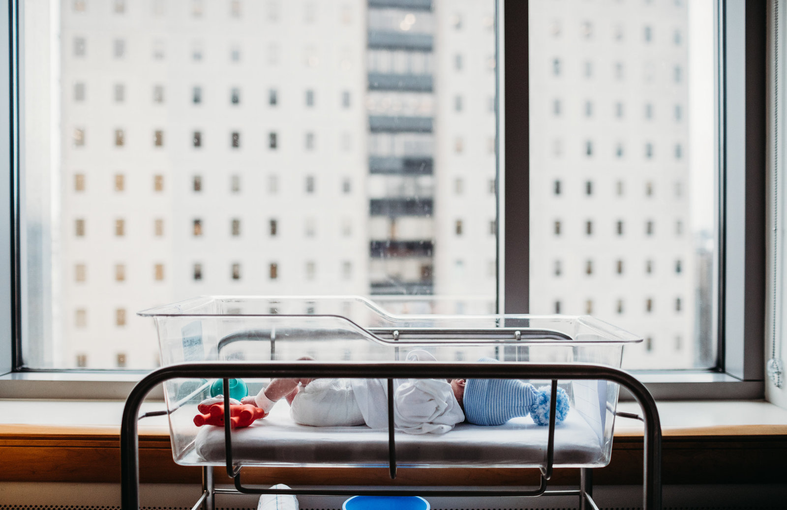baby in bassinet stares out hospital window