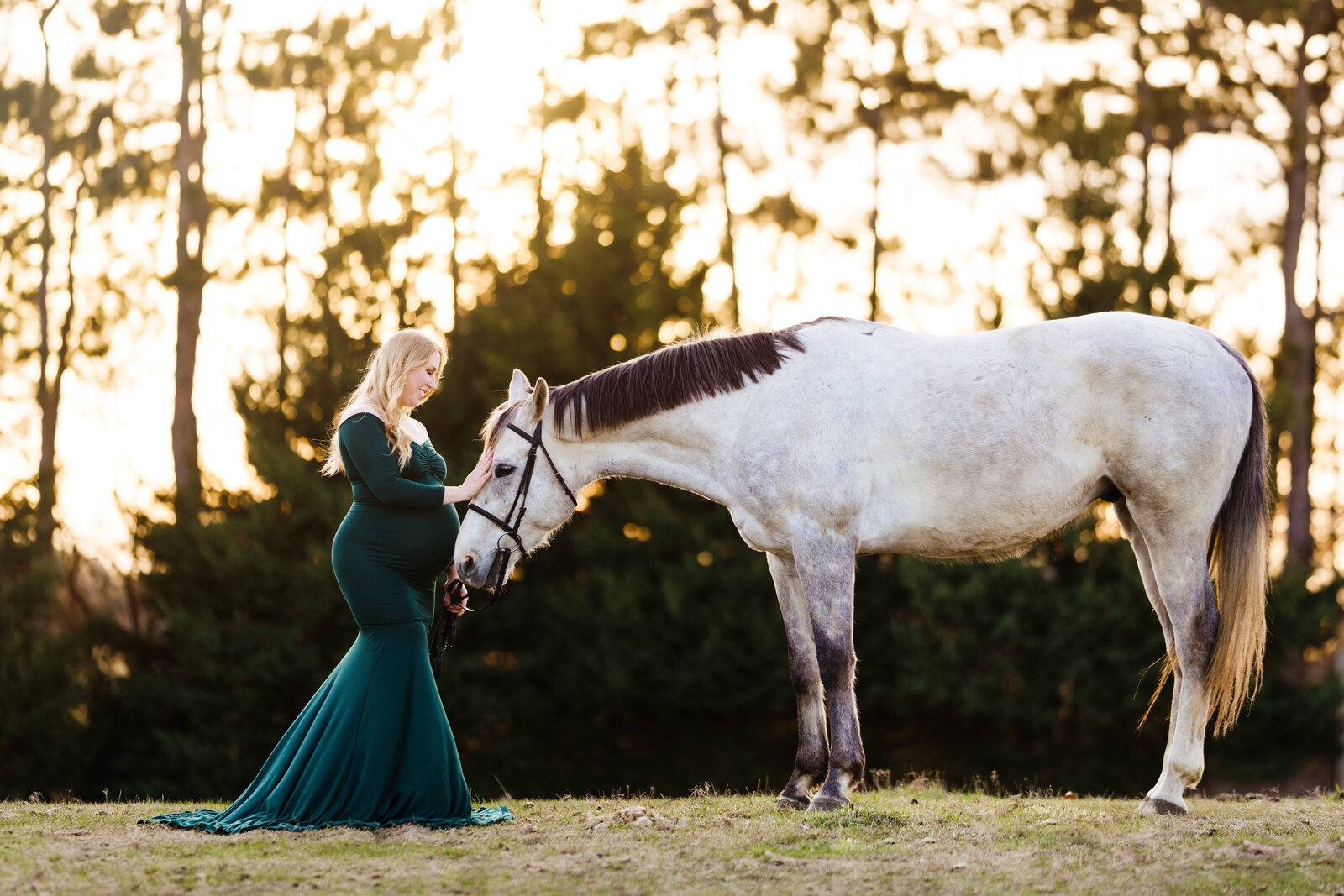 Knoxville TN Equestrian Photographer, Knoxville TN Equine Photographer, Knoxville TN Family Photographer, Farragut TN Equine Photographer, Farragut TN Equestrian Photographer, Farragut TN Photographer, Horses, Farragut TN Horses,  Knoxville TN Horses