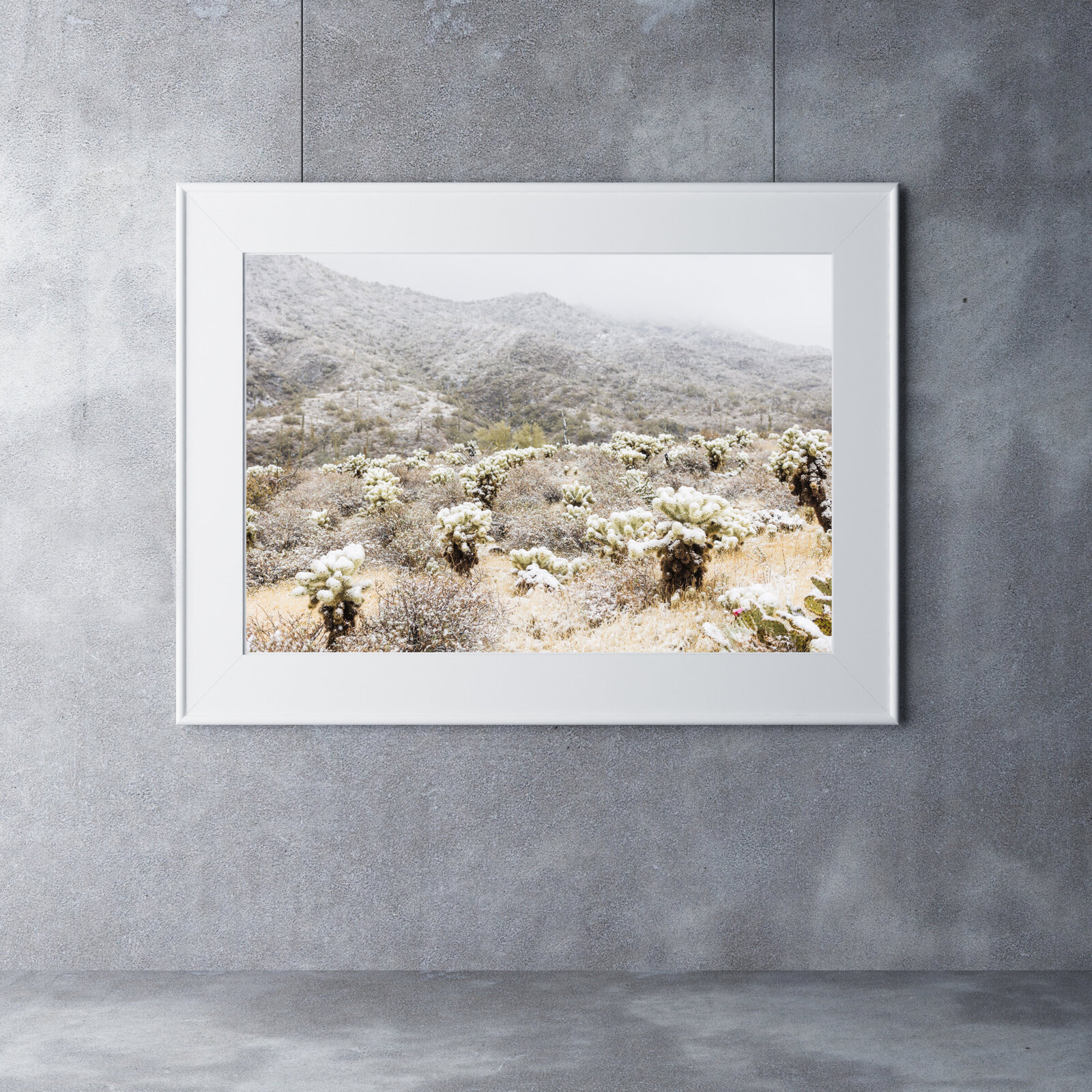 Arizona desert cactus with snow home decor print