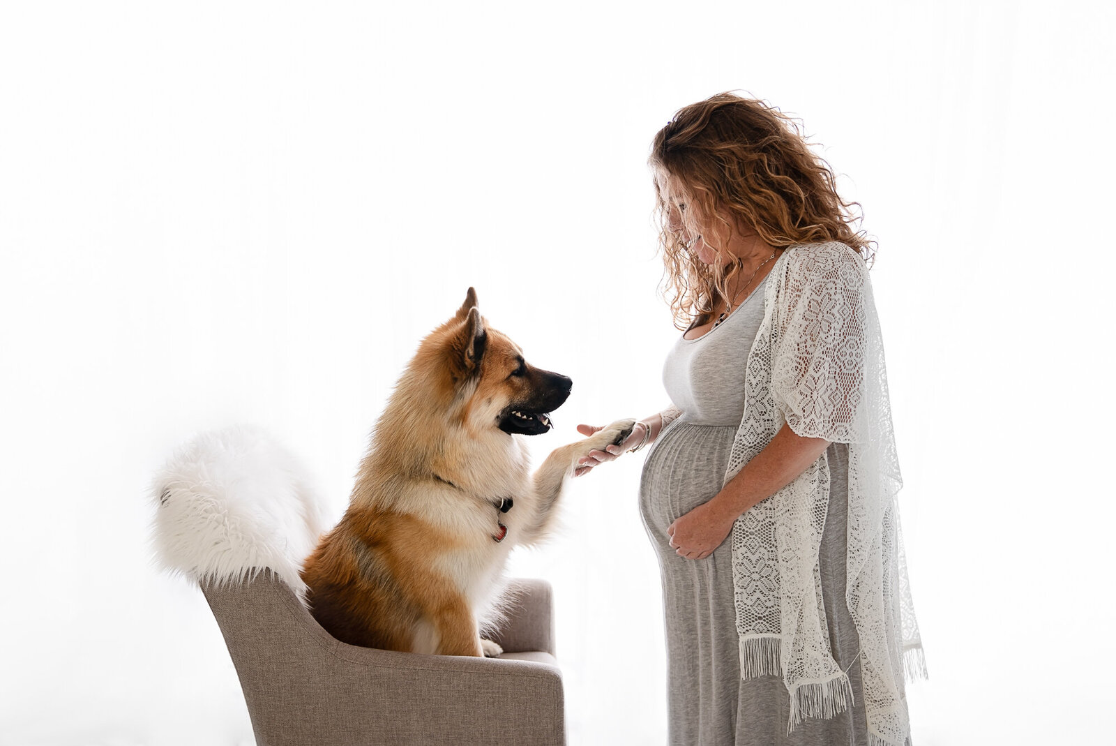 Pregnancy Photo with Dog