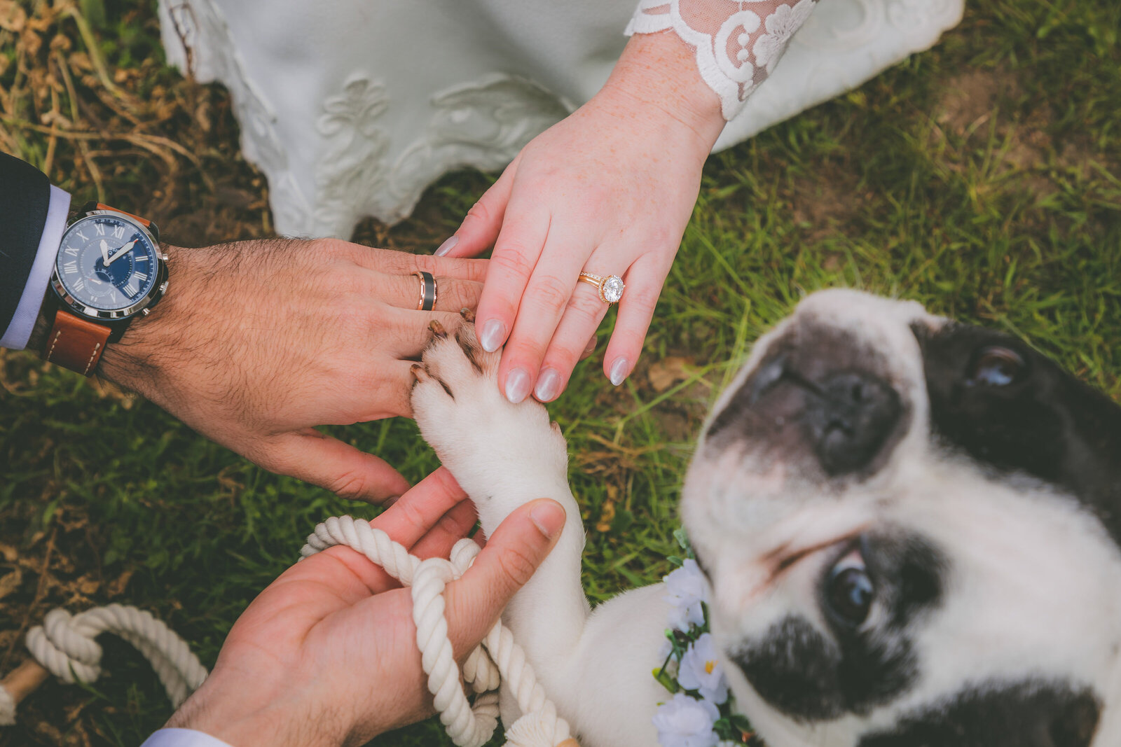 bring-your-dog-elopement