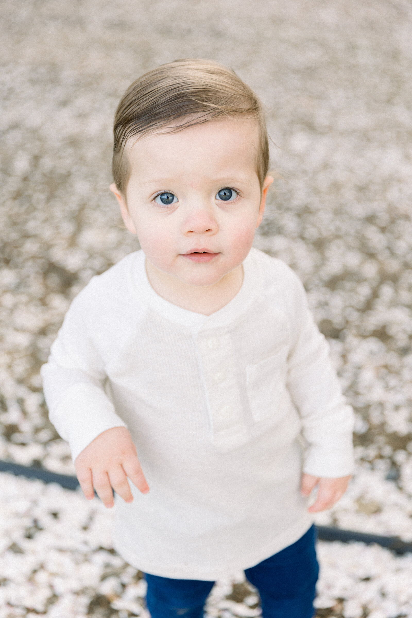 Image of young toddler boy in white shirt standing in almond blossom petals taken by Sacramento Newborn Photographer Kelsey Krall