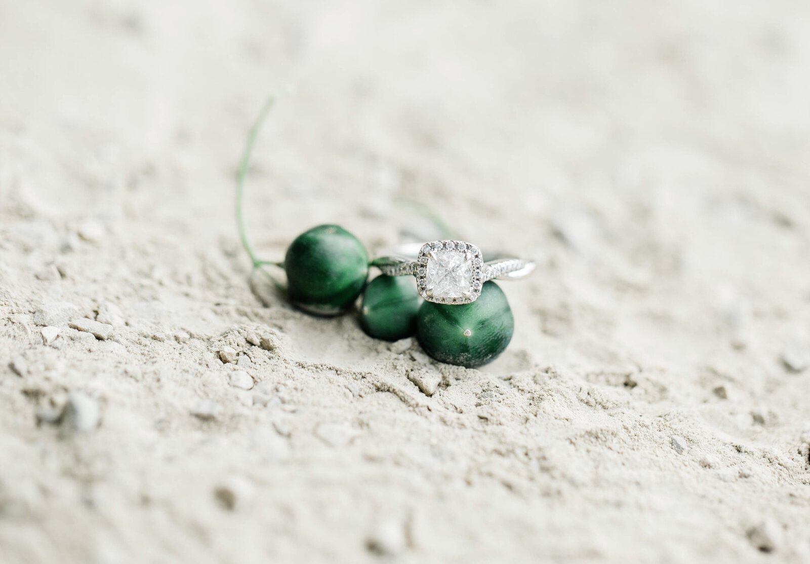 Diamond Engagement Ring on green berries in the sand