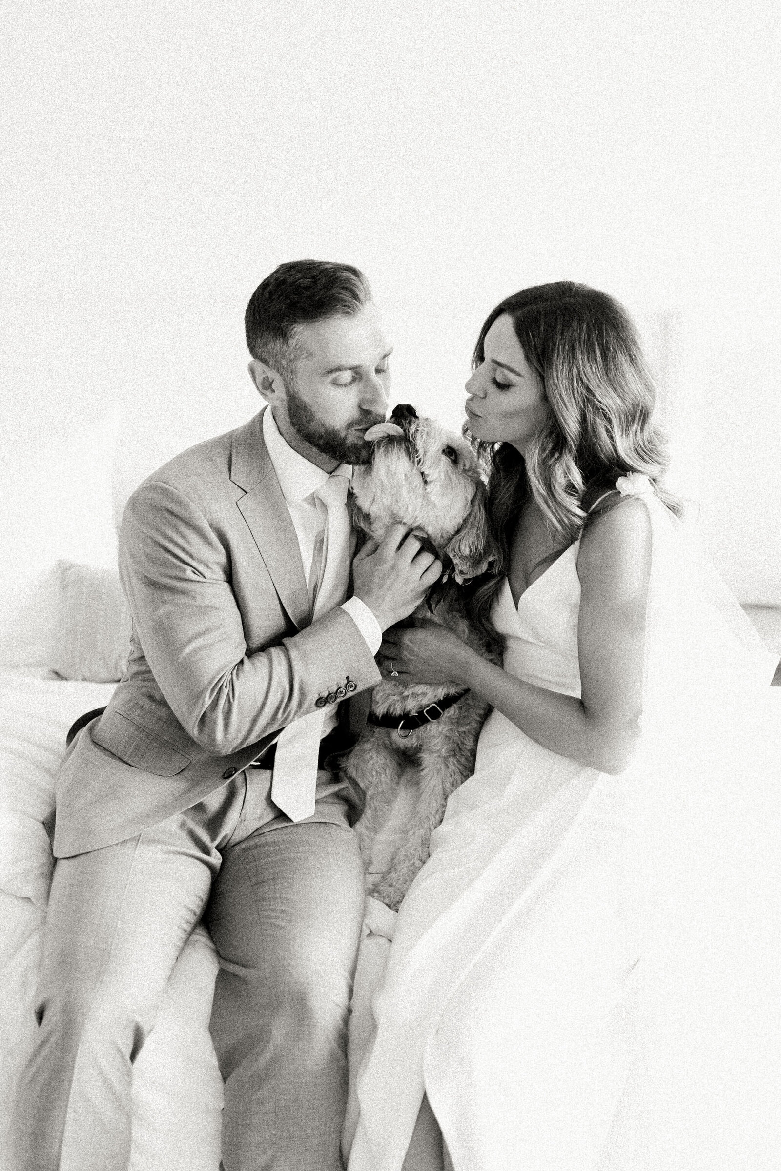 Puppy Love on Wedding Days | Raleigh NC | The Axtells Photo and Film