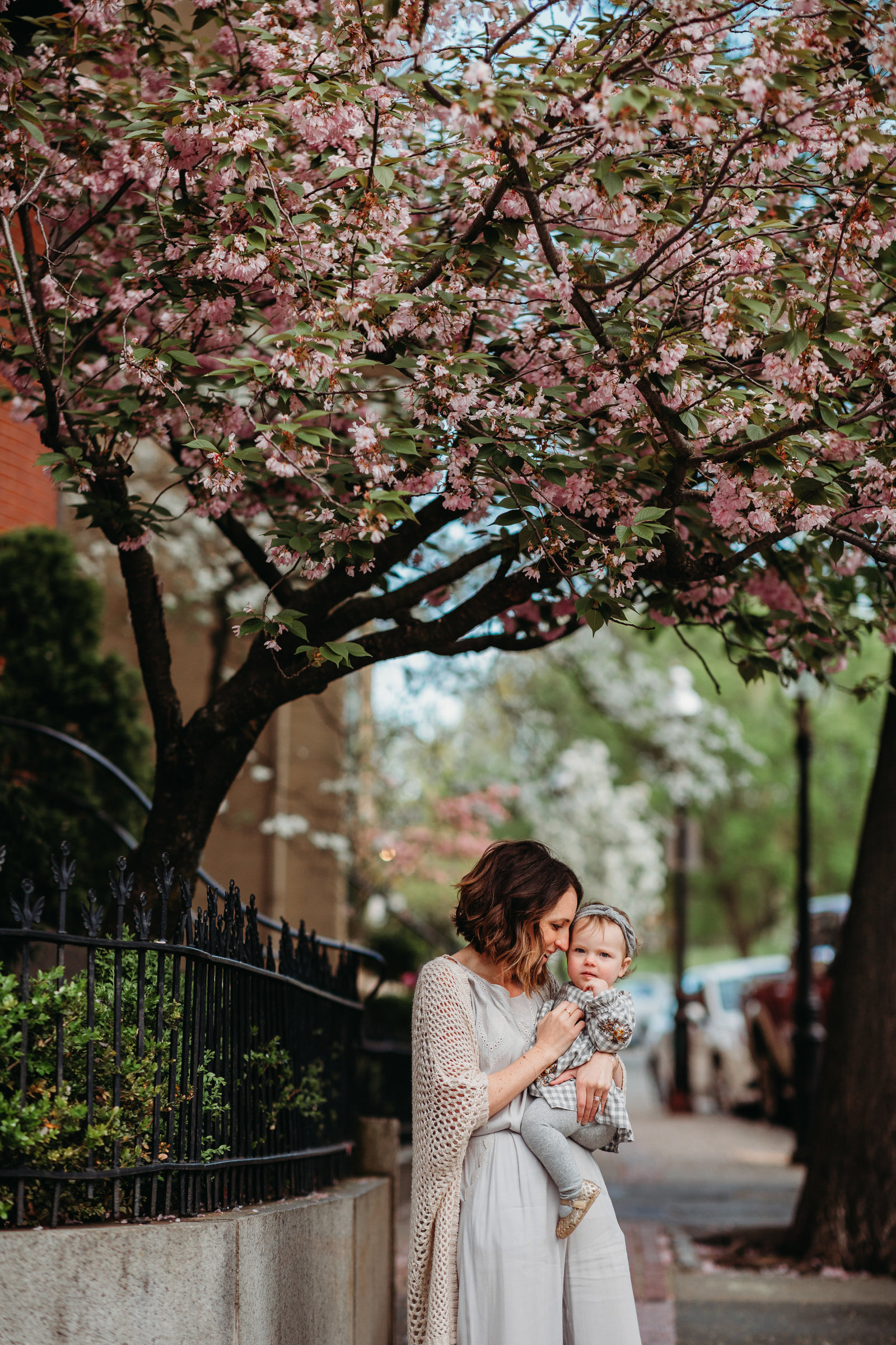 mother with long sweater snuggles toddler daughter under cherry blossom tree during charlestown family photos