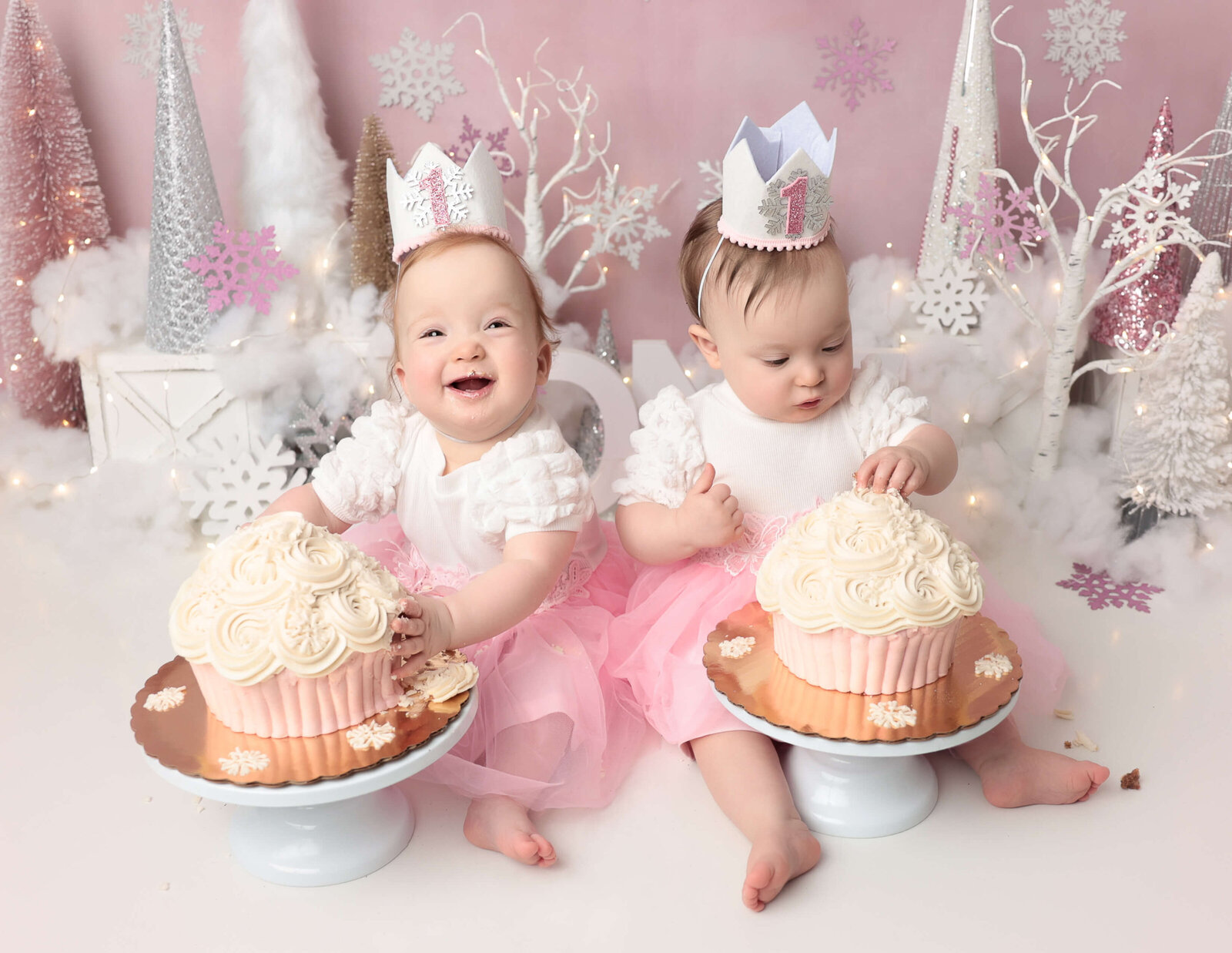 Twin girls at their winter ONEderland cake smash in Rochester, NY.