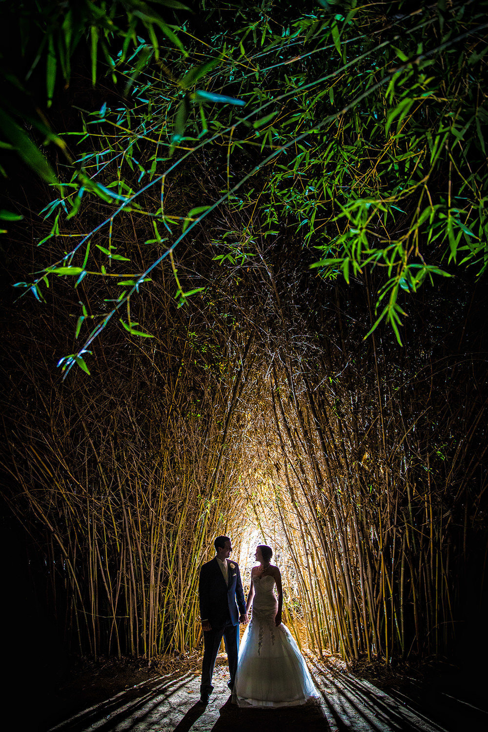 night image of couple in the bamboo field