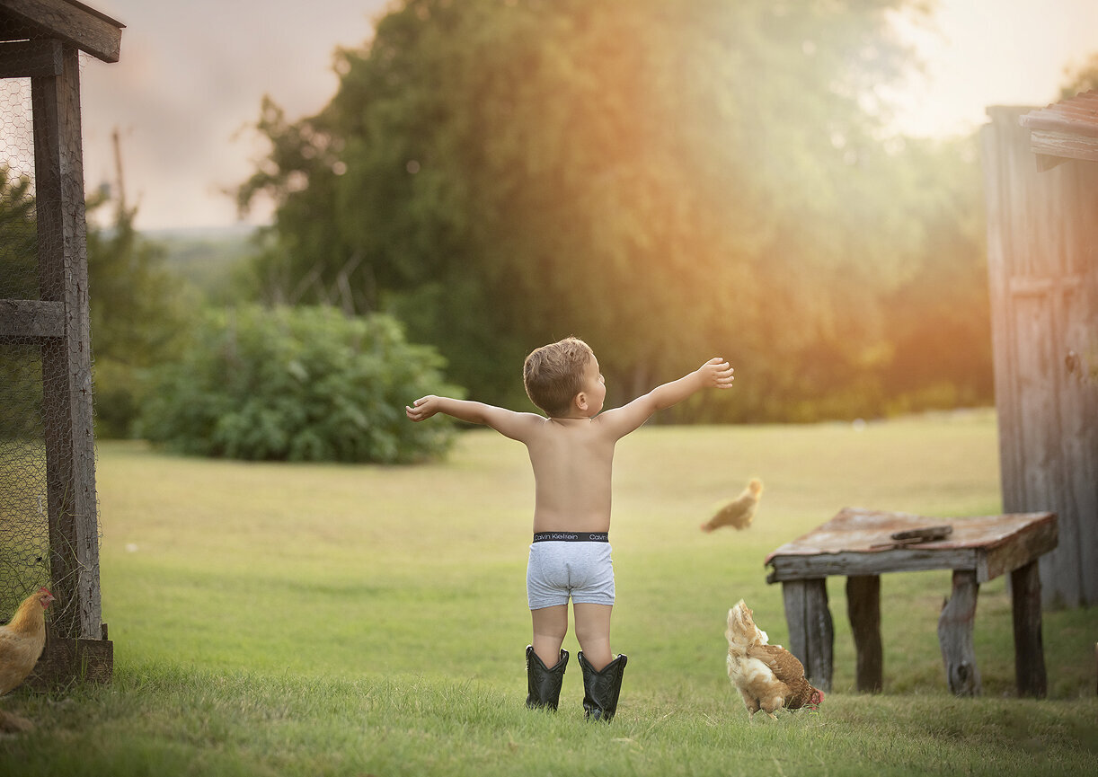 Toddler playing with chickens during family photoshoot.