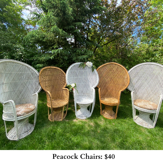 Peacock Chairs-683