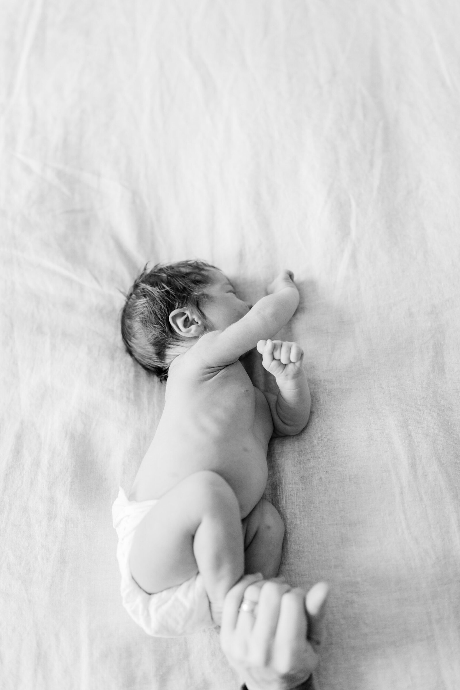 lexington-ky-newborn-photography-by-priscilla-baierlein-312