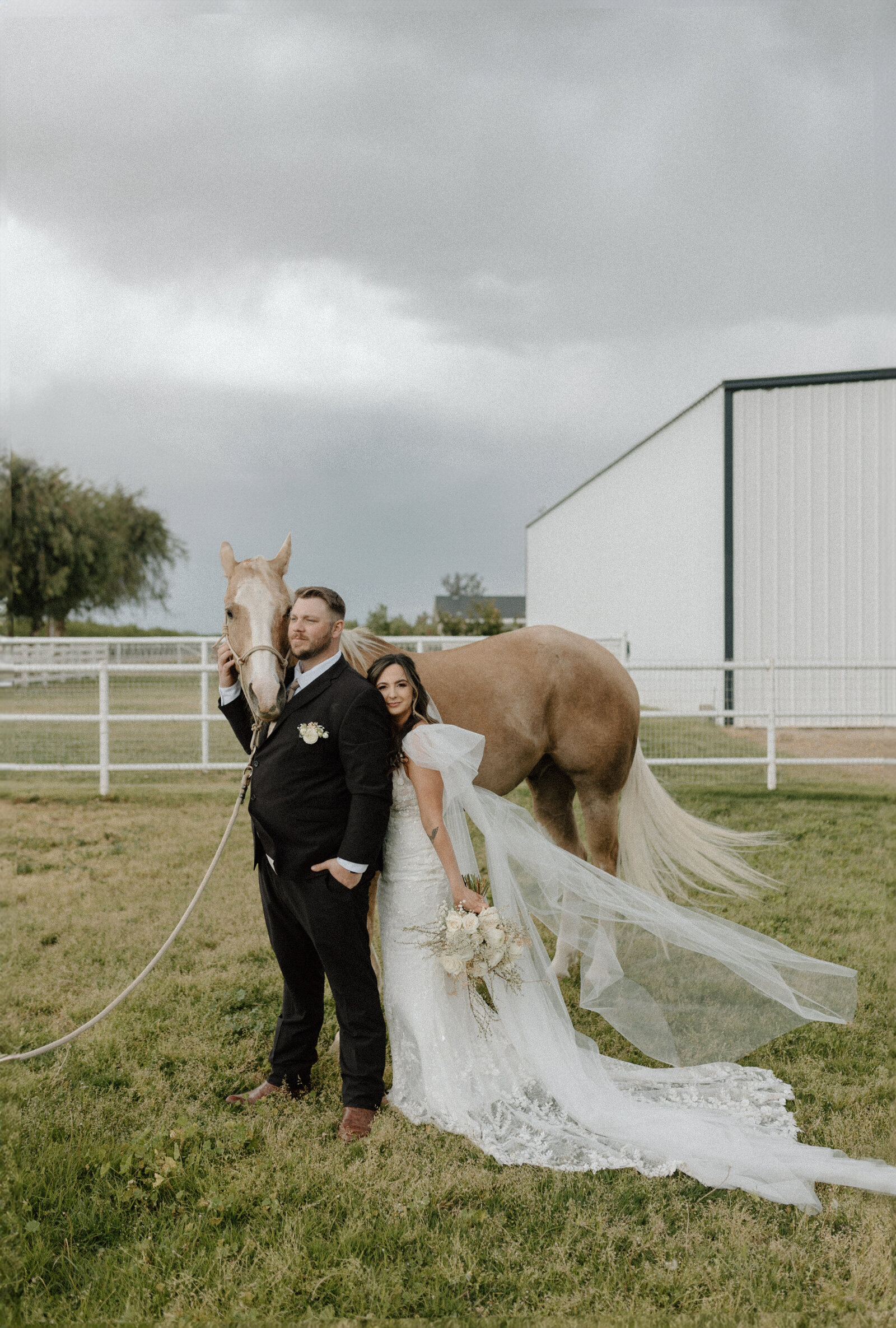 horses_wedding-2