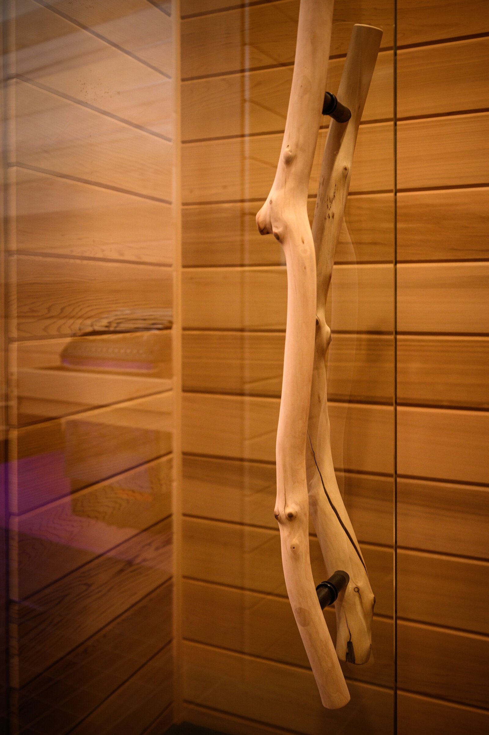 shower door with unique wood handle