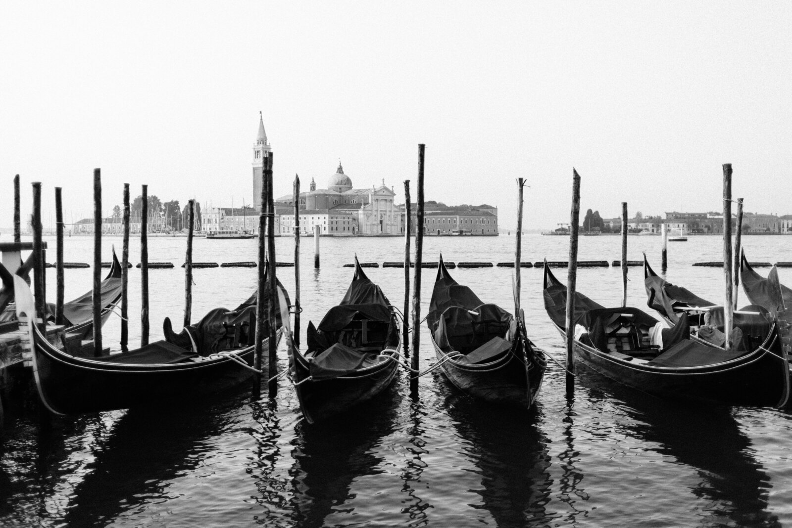 Gondolas in a row in the water